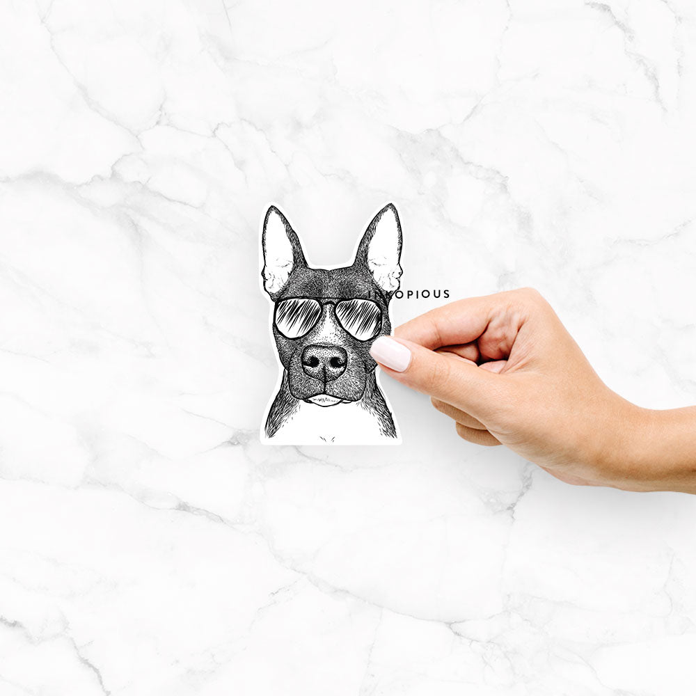 Hand-drawn sketch of Violet the Pitbull wearing aviator sunglasses on a Violet Pittie decal sticker