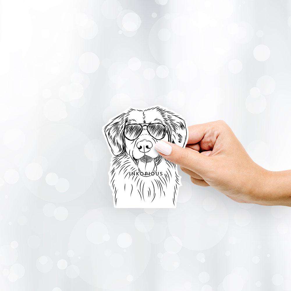 Hand-drawn sketch of Weston the Nova Scotia Duck Tolling Retriever wearing aviator sunglasses on a decal sticker
