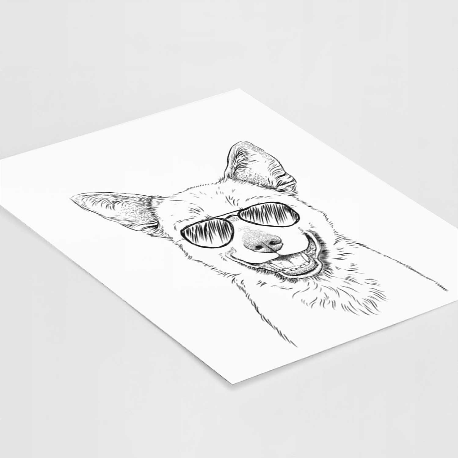 Arden the Australian Kelpie Art Print