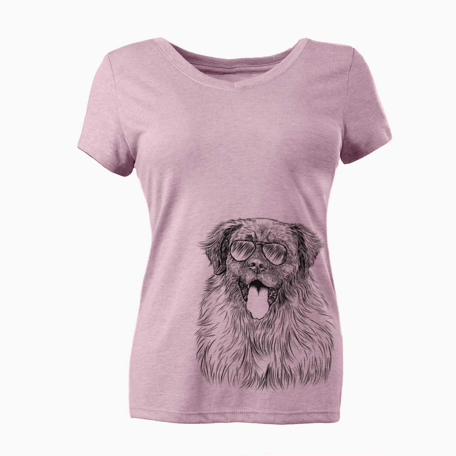 Aviator Bamboo the Leonberger - Women's V-neck Shirt