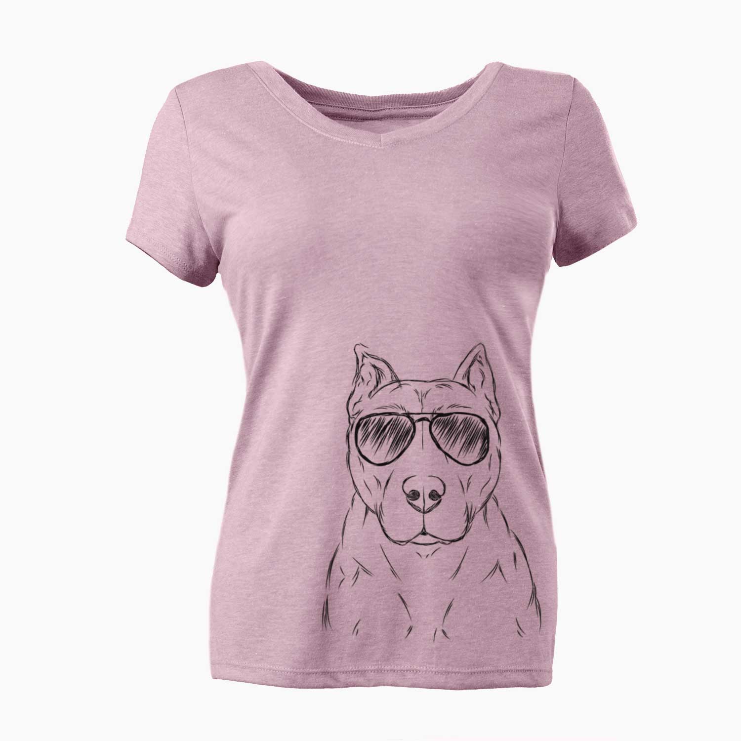 Aviator Bane the Pitbull Mix - Women's V-neck Shirt