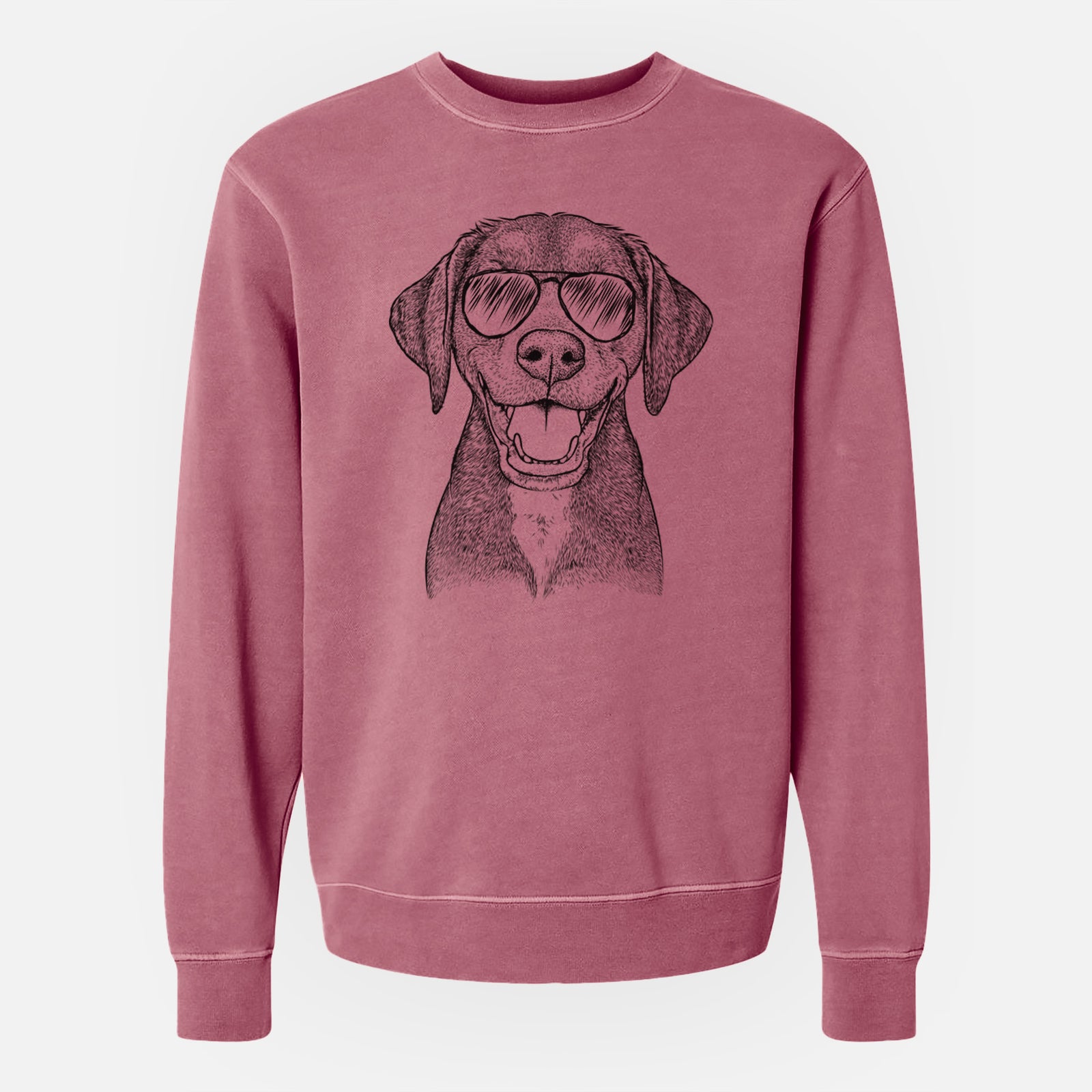 Aviator Beaver the Hound Mix - Unisex Pigment Dyed Crew Sweatshirt
