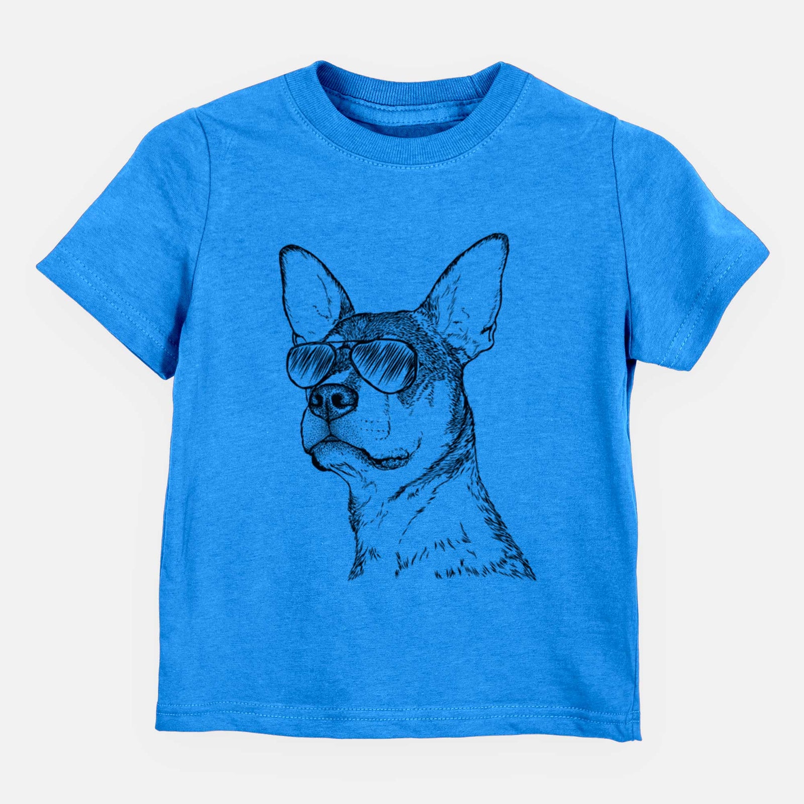 Aviator Bill the Heeler Mix - Kids/Youth/Toddler Shirt