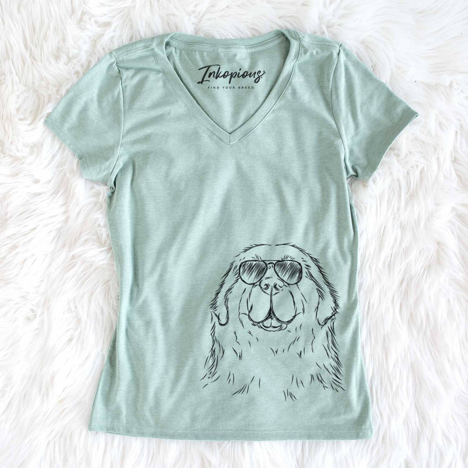 Boomer the Newfoundland - Women's V-neck Shirt