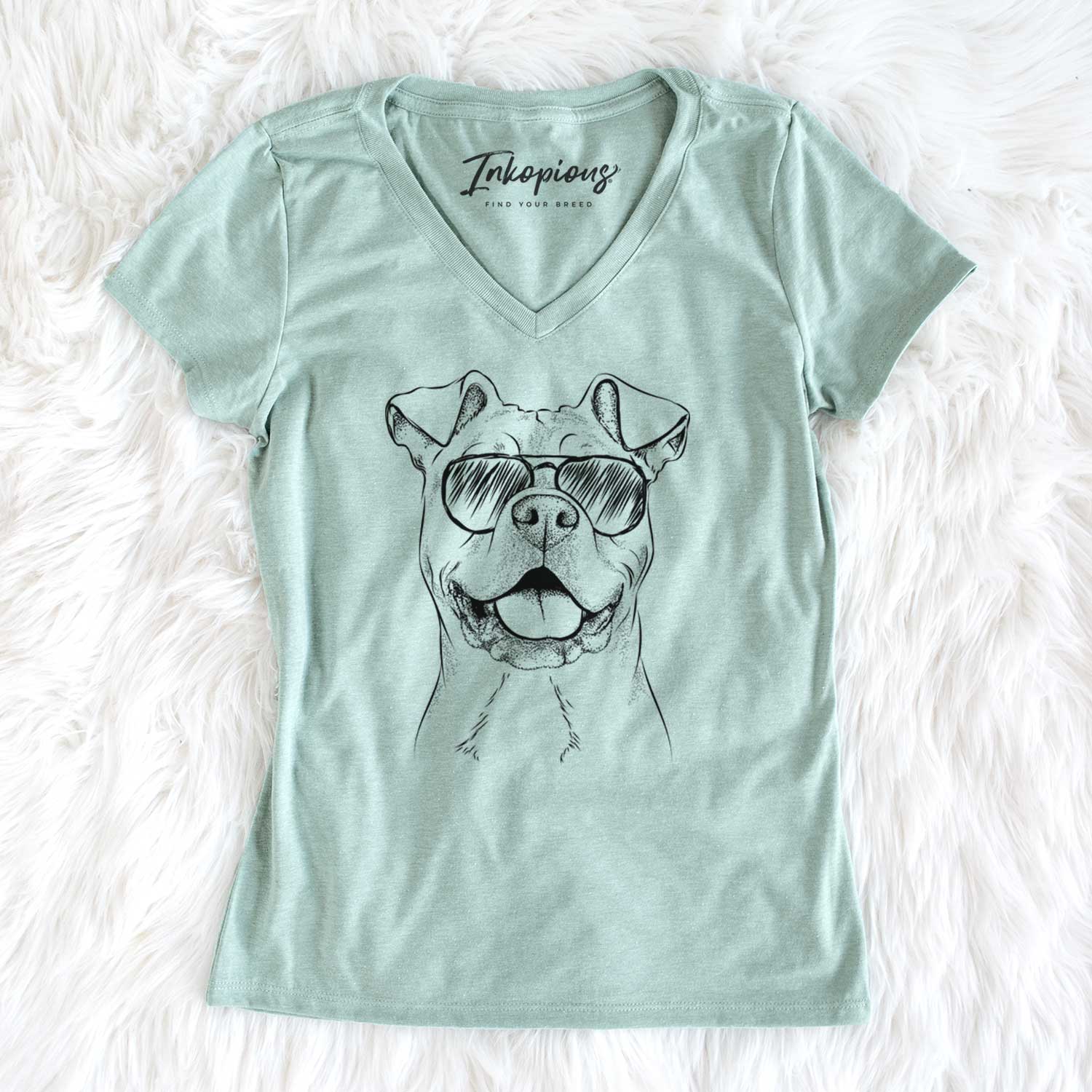 Aviator Bubba Scraps the American Staffordshire Mix - Women's V-neck Shirt