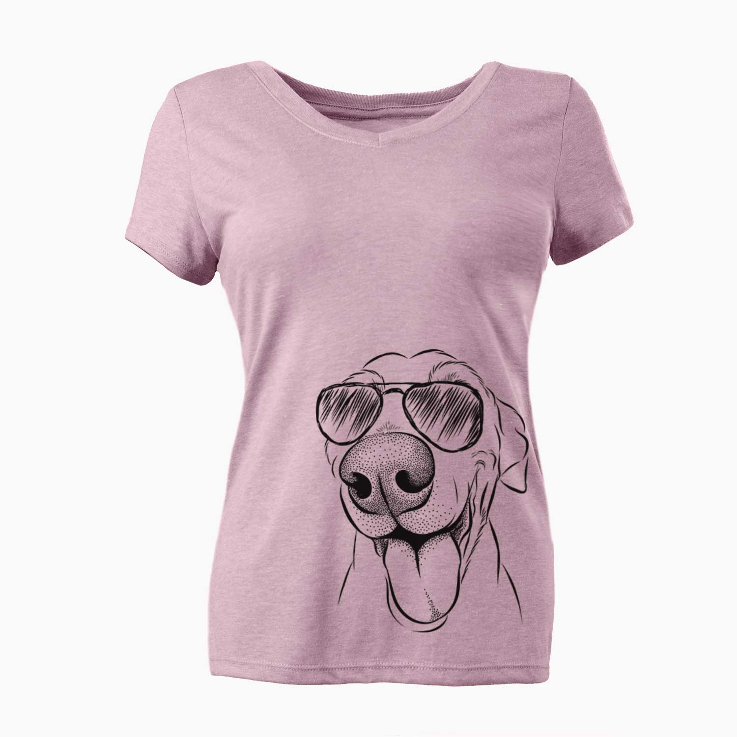 Aviator Buddy the Buddy the Sato / American Village Dog - Women's V-neck Shirt