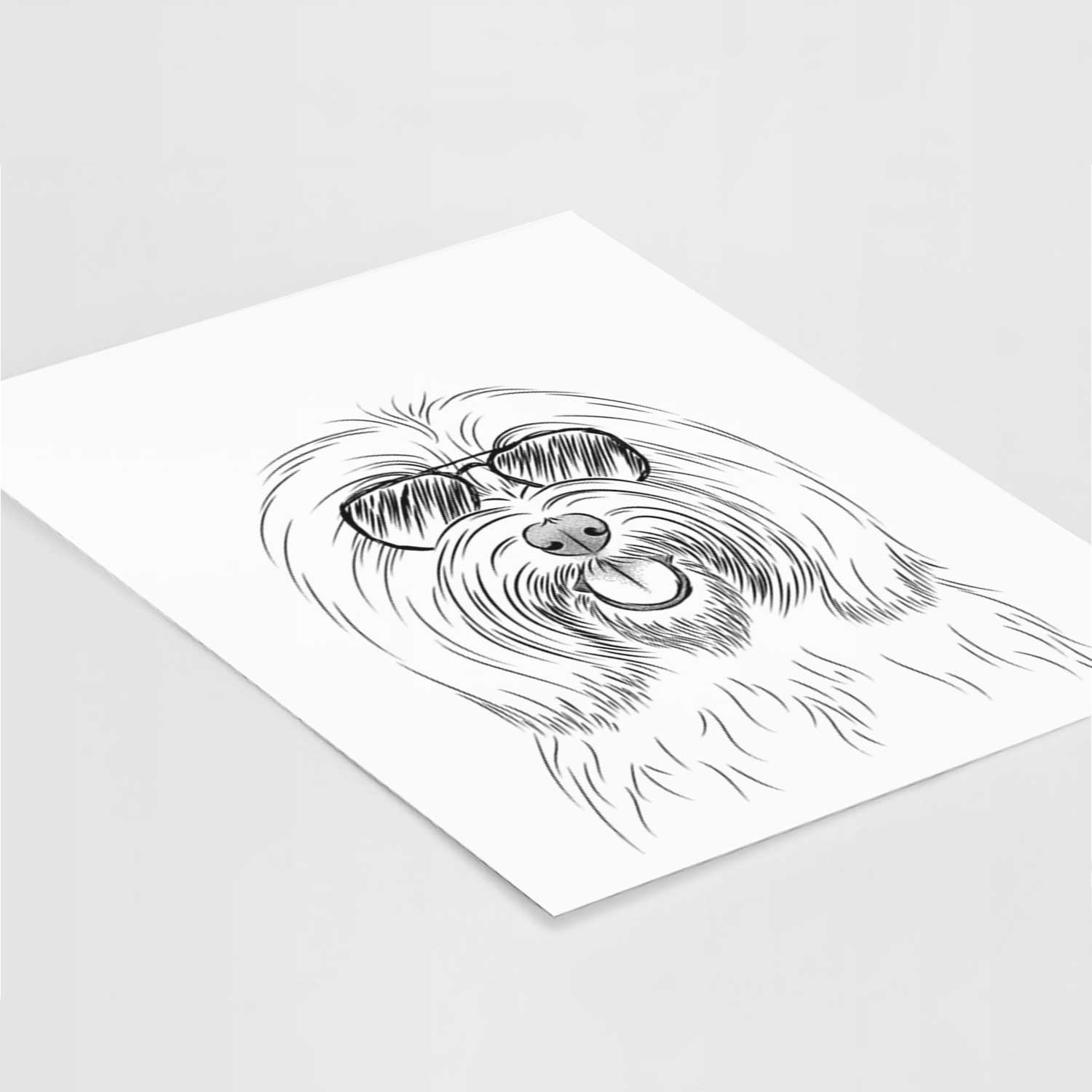 Claude the Coton de Tulear Art Print