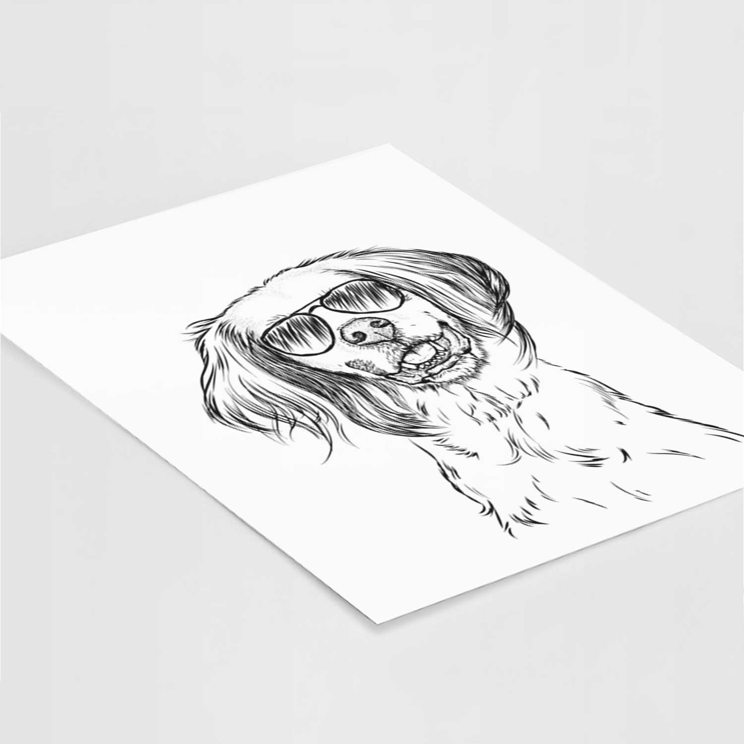 Cooper the English Setter Art Print