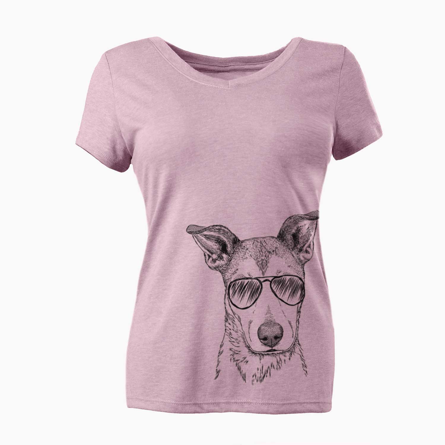 Aviator Coral the Mixed Breed - Women's V-neck Shirt