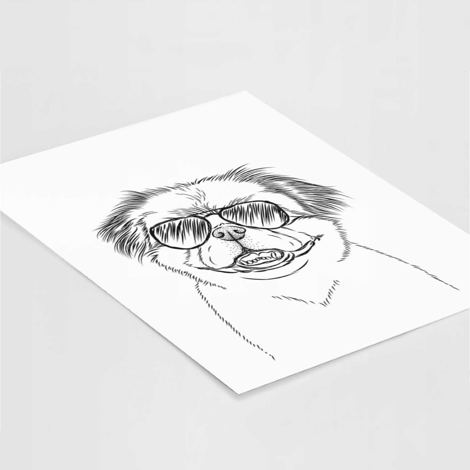 Danny the Pekingese Art Print