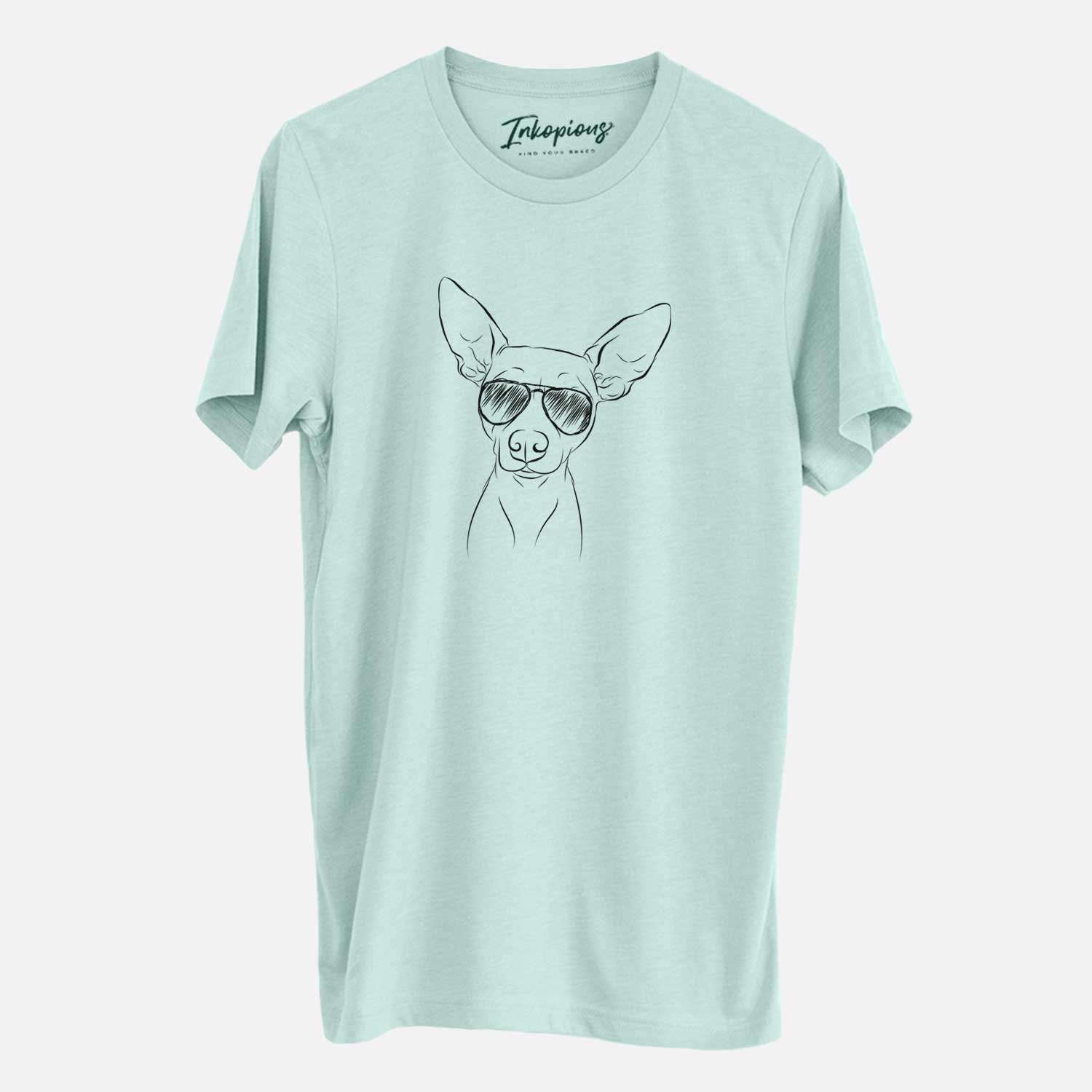 Hand-drawn sketch of Desi the American Hairless Terrier wearing aviator sunglasses on a Heather Sage Unisex crewneck