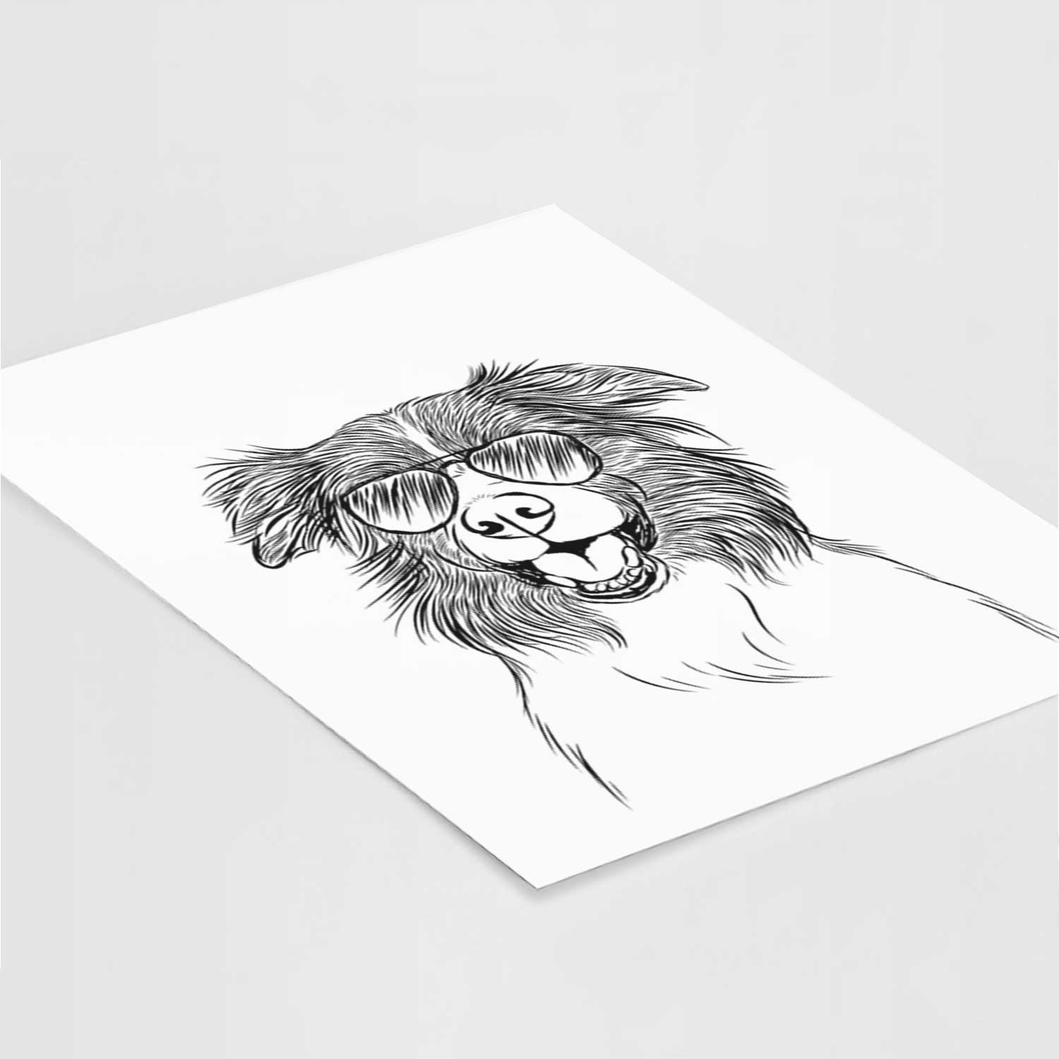 Dizzy the Border Collie Art Print