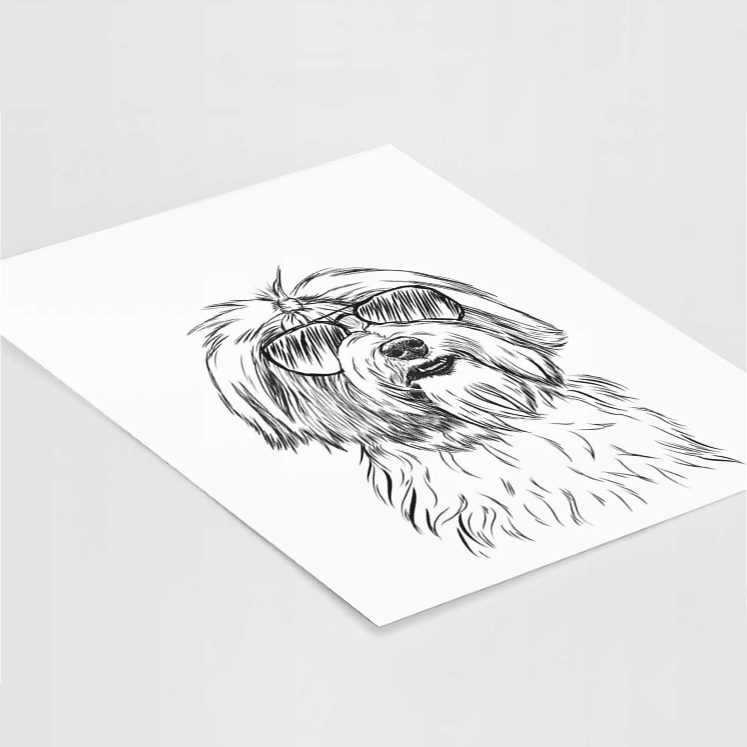Dooley the Havanese Art Print