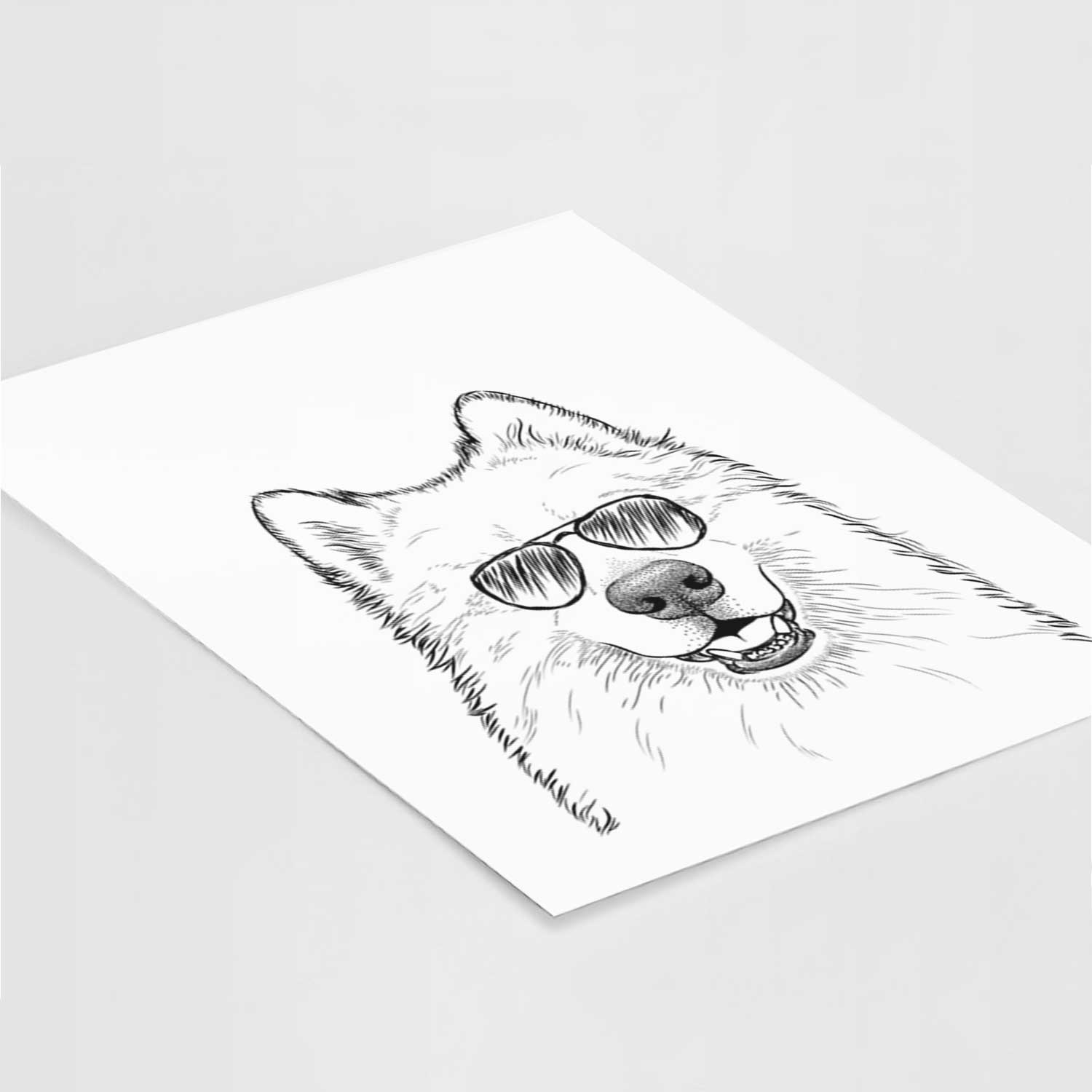 Foster the Samoyed Art Print