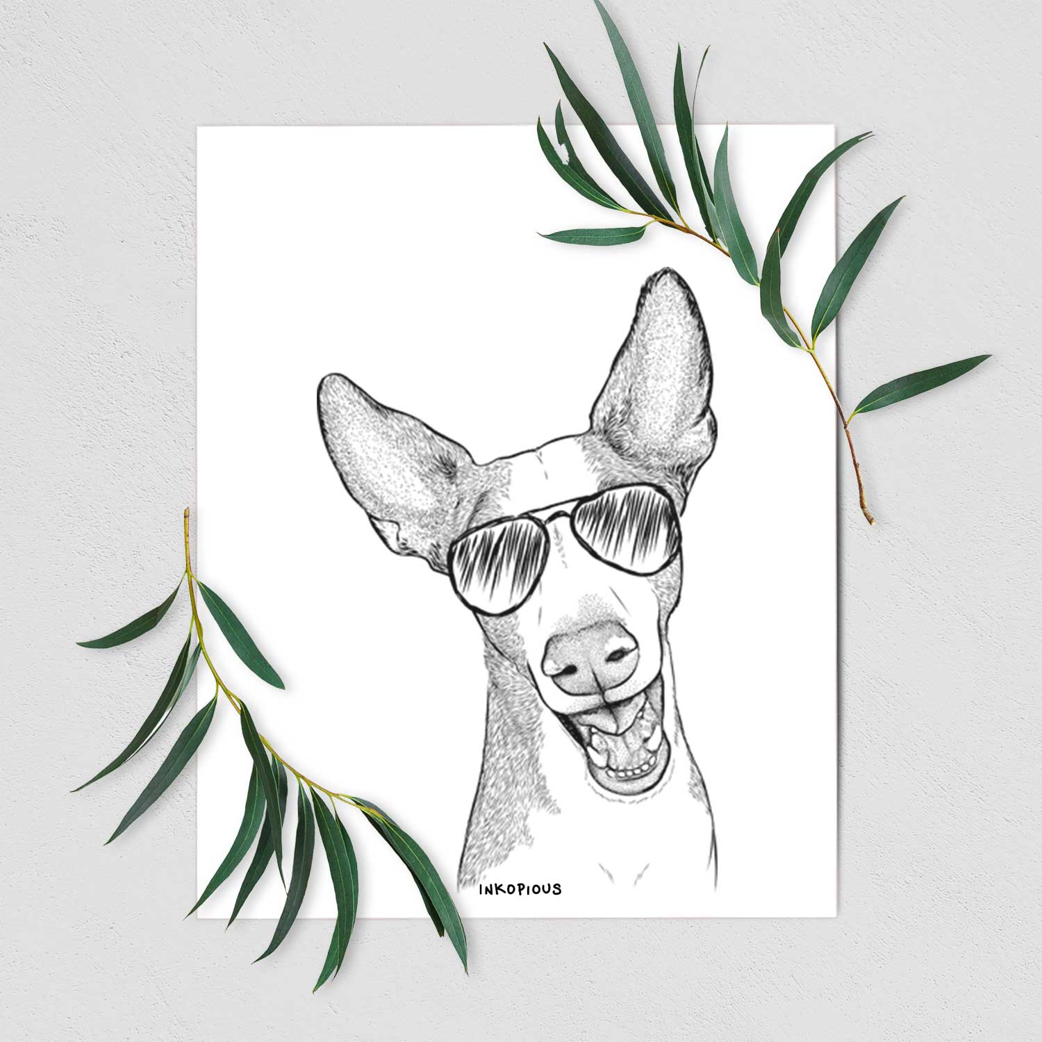 Havok the Ibizan Hound Art Print