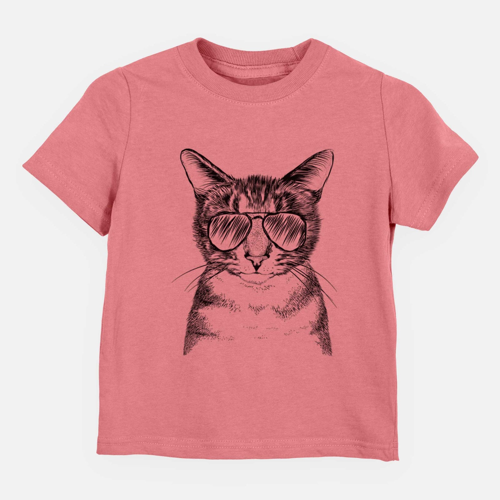 Aviator Hobbes the Tabby Cat - Kids/Youth/Toddler Shirt
