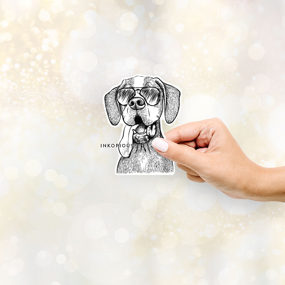 Hand-drawn sketch of Irwin the English Pointer wearing aviator sunglasses on a decal sticker