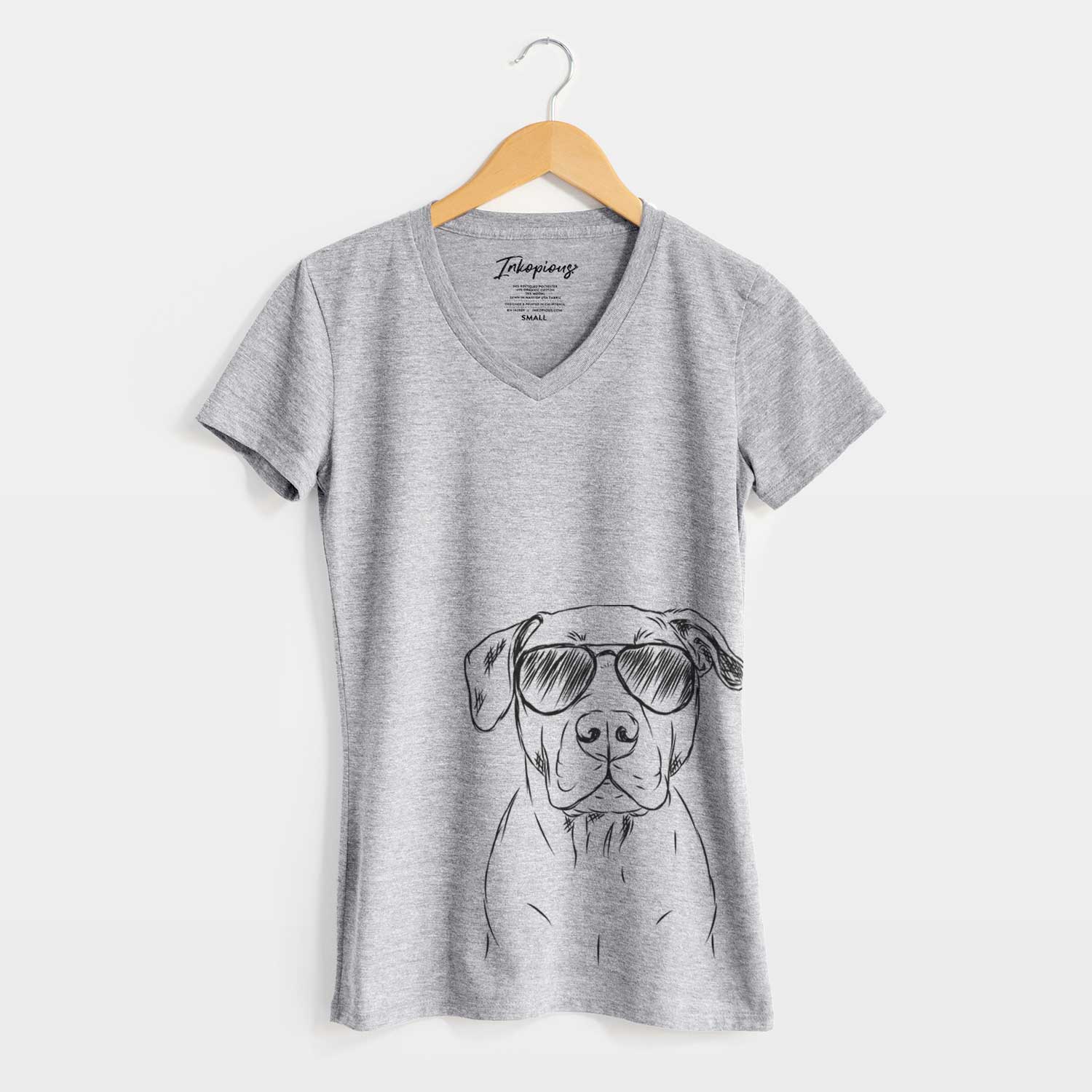 Aviator Kadin the Pitbull - Women's V-neck Shirt