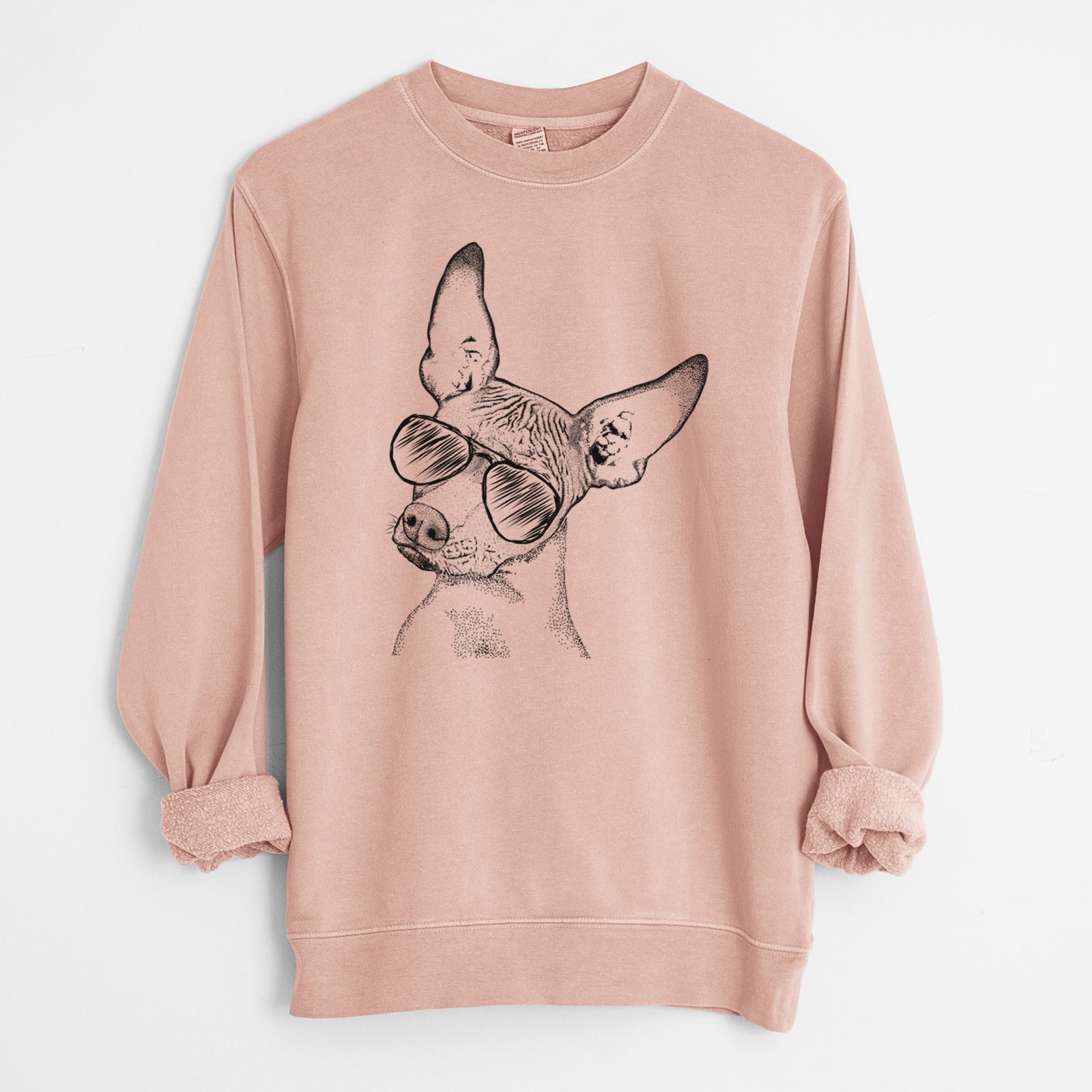 Aviator Kahlo the Xoloitzcuintli - Unisex Pigment Dyed Crew Sweatshirt