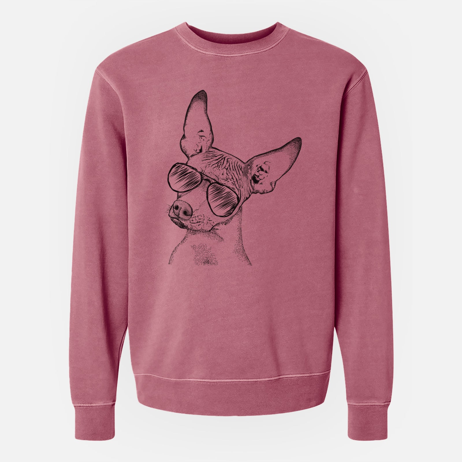Aviator Kahlo the Xoloitzcuintli - Unisex Pigment Dyed Crew Sweatshirt
