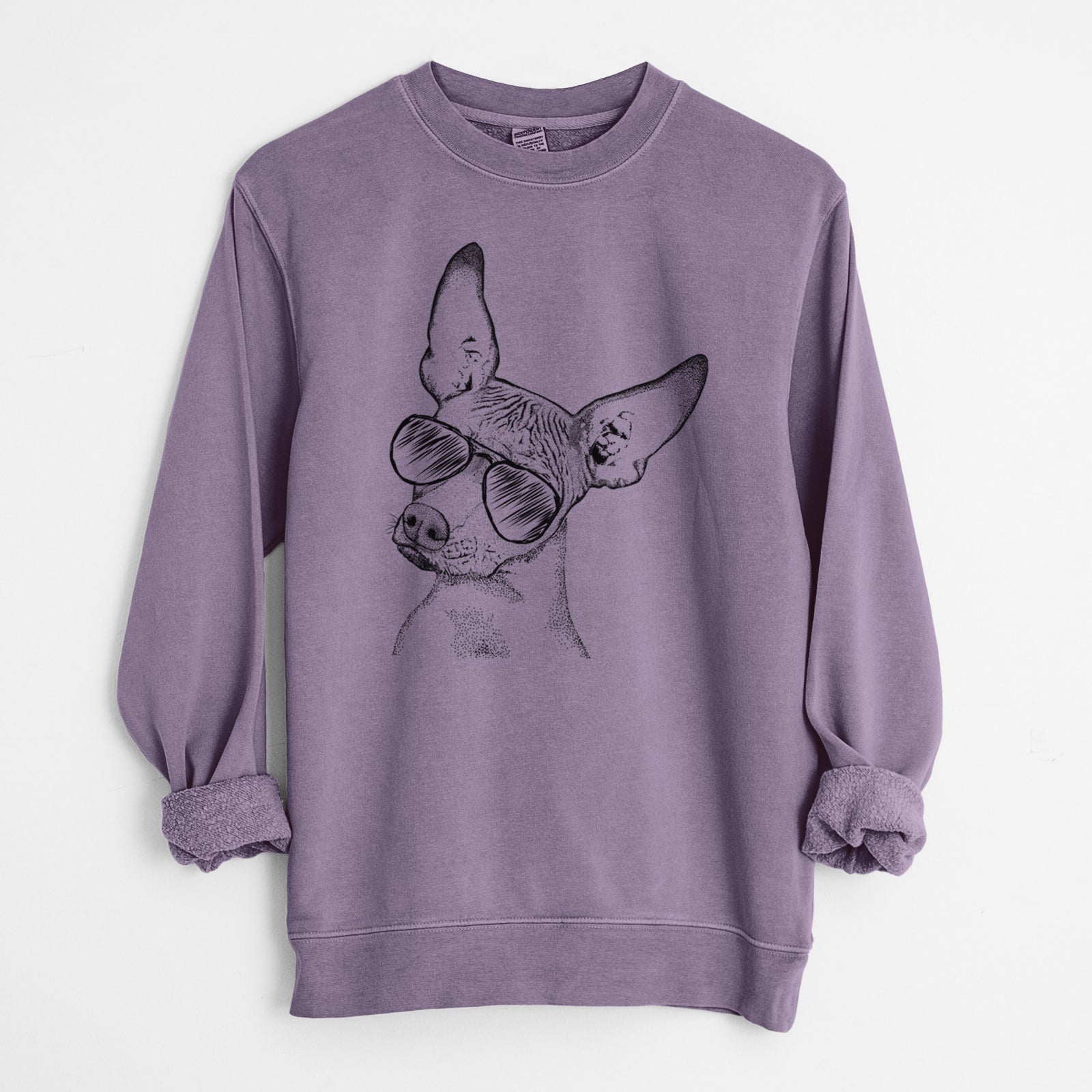 Aviator Kahlo the Xoloitzcuintli - Unisex Pigment Dyed Crew Sweatshirt