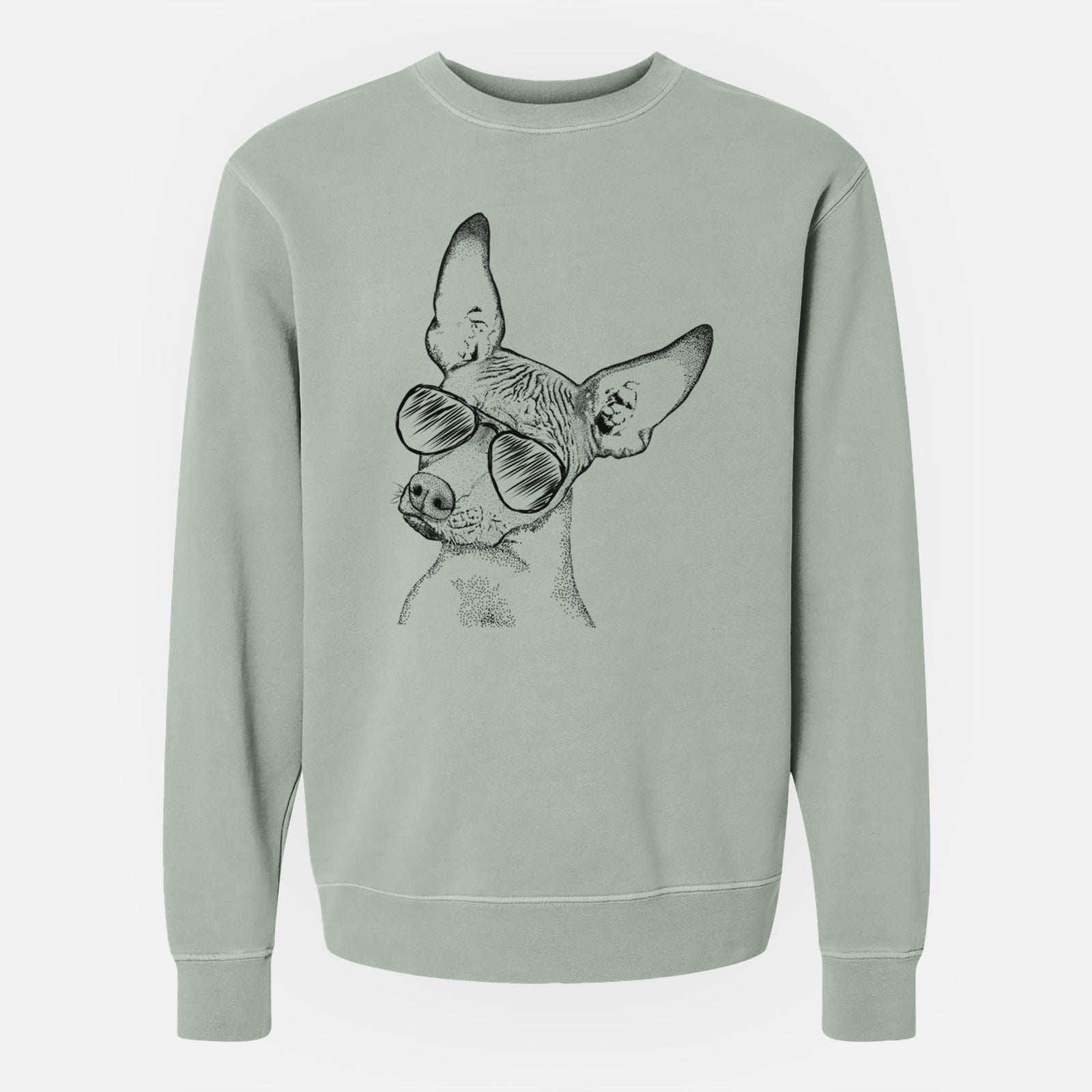 Aviator Kahlo the Xoloitzcuintli - Unisex Pigment Dyed Crew Sweatshirt