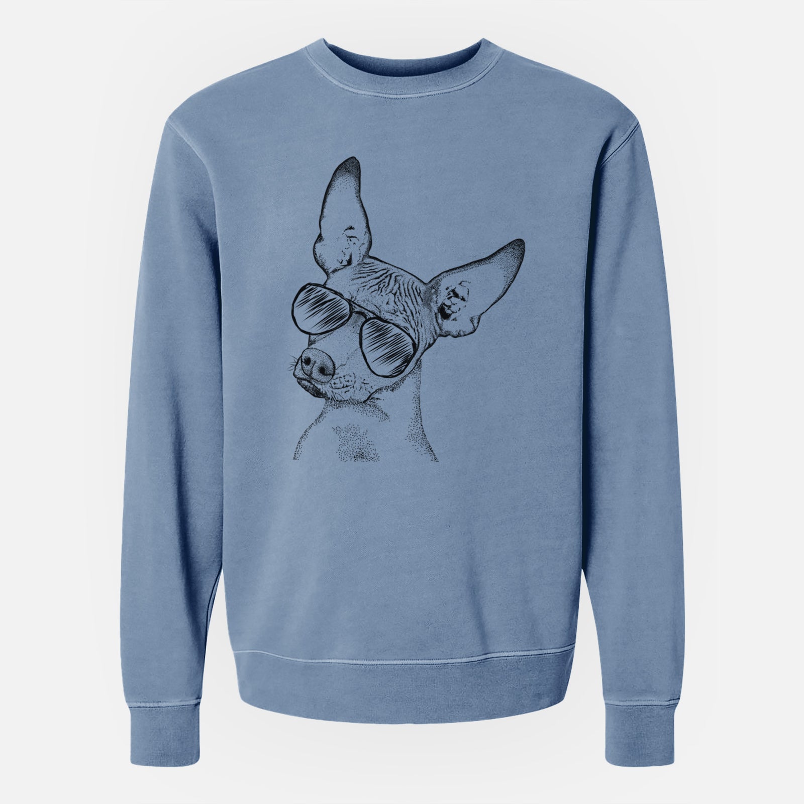 Aviator Kahlo the Xoloitzcuintli - Unisex Pigment Dyed Crew Sweatshirt