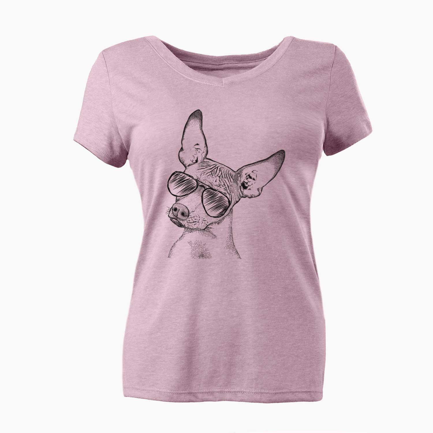 Aviator Kahlo the Xoloitzcuintli - Women's V-neck Shirt