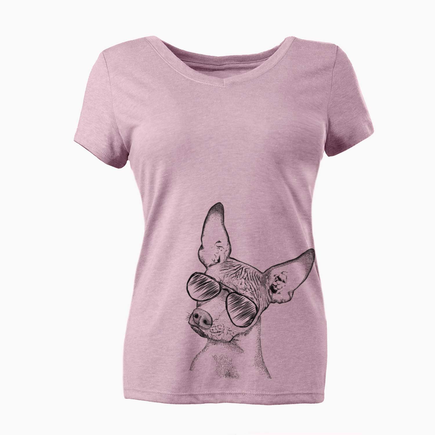 Aviator Kahlo the Xoloitzcuintli - Women's V-neck Shirt