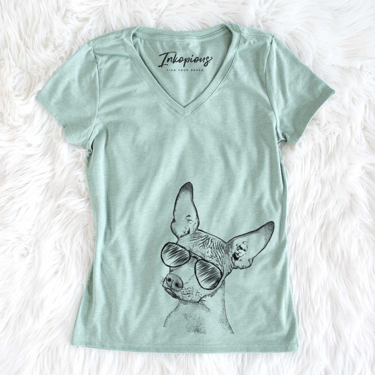 Aviator Kahlo the Xoloitzcuintli - Women's V-neck Shirt