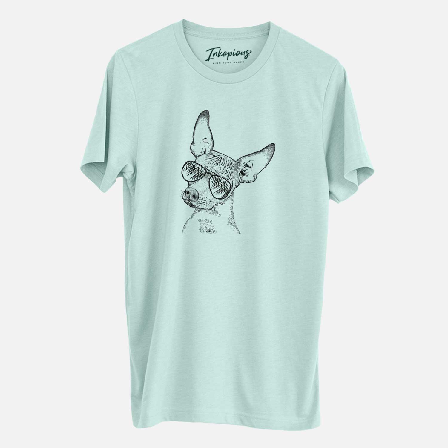 Hand-drawn sketch of Kahlo the Xoloitzcuintli wearing aviator sunglasses on a Heather Sage Unisex crewneck