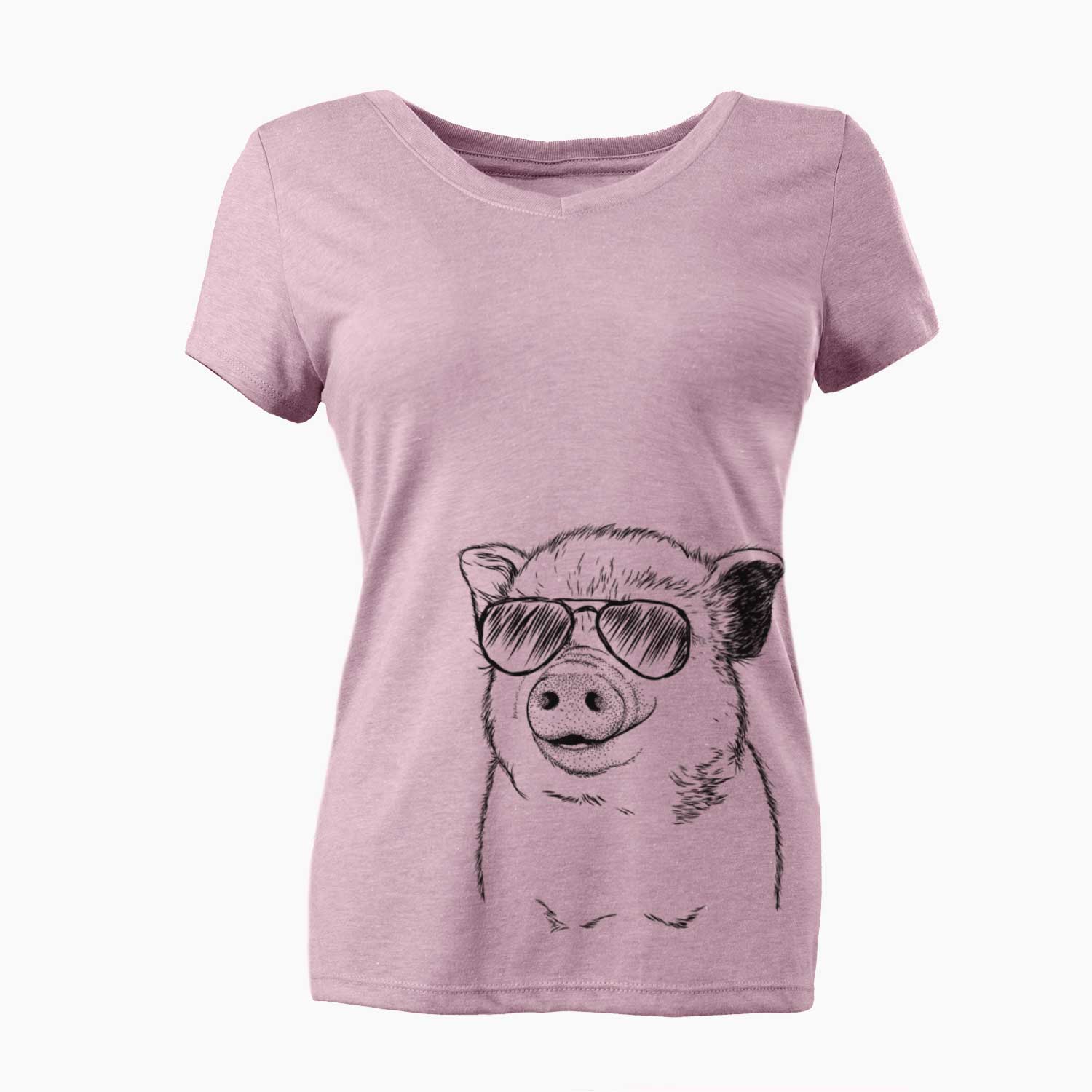 Aviator Kevin the Spotted Pig - Women's V-neck Shirt