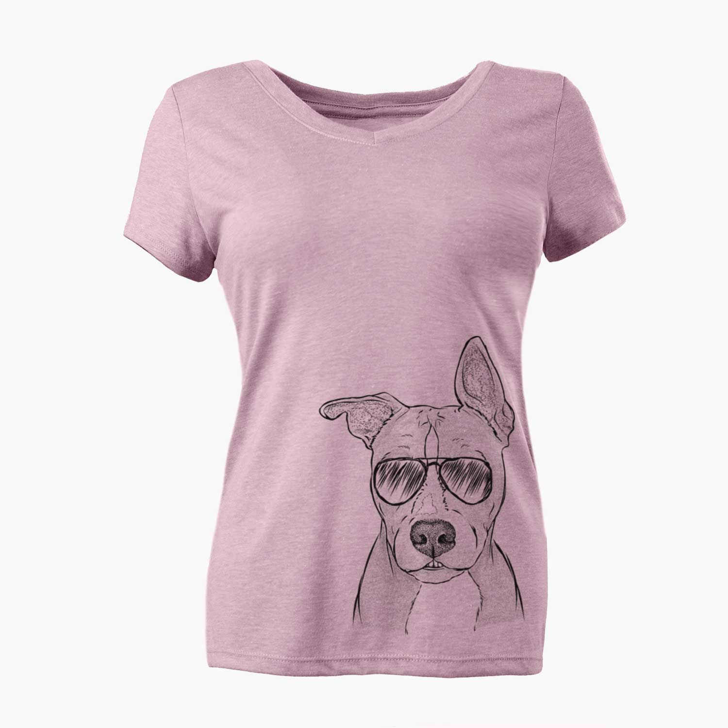 Aviator Kisses the Pitbull - Women's V-neck Shirt