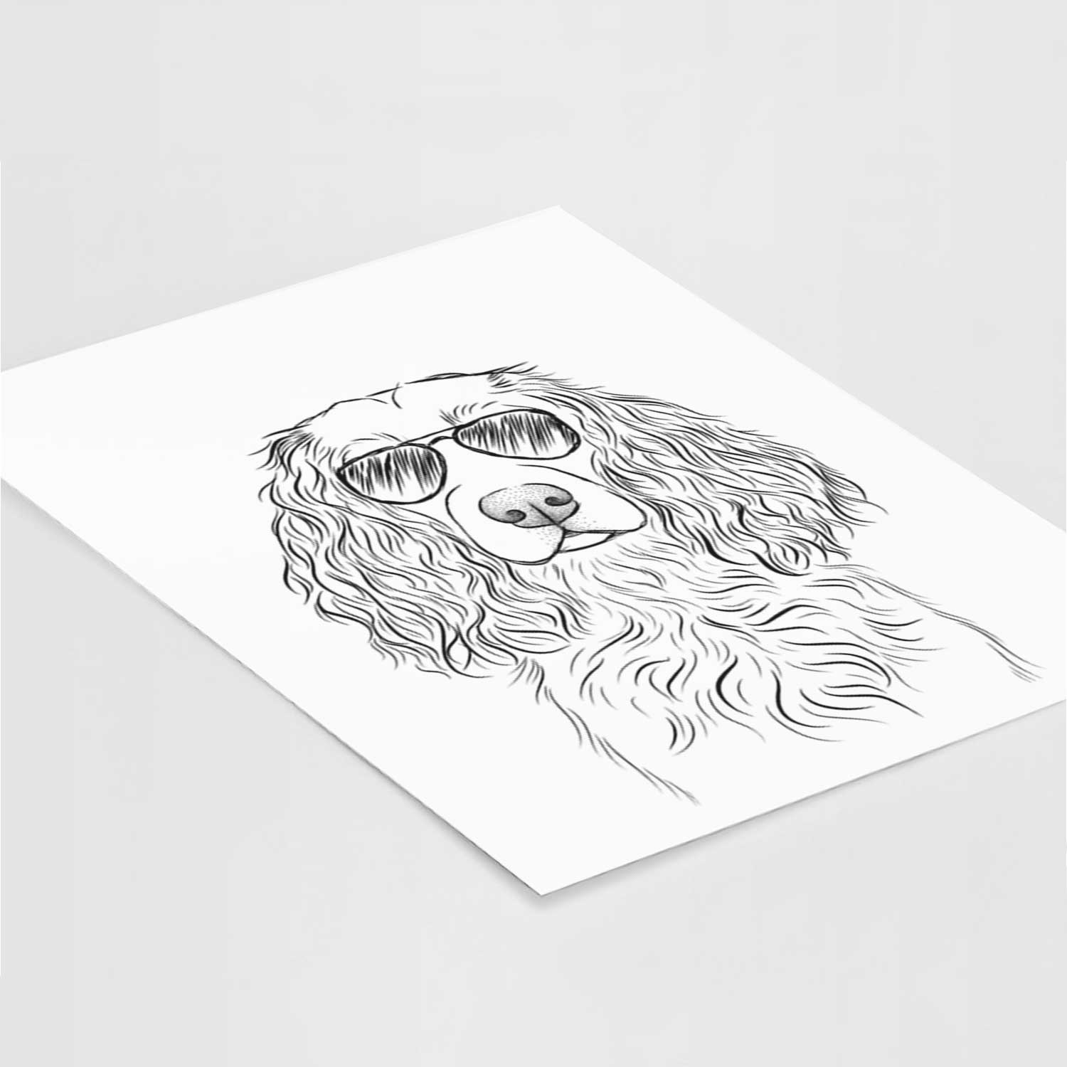 Landry the Boykin Spaniel Art Print