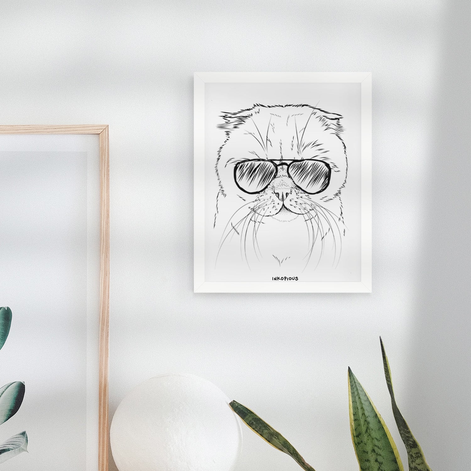 Lina the Exotic Fold Cat Art Print