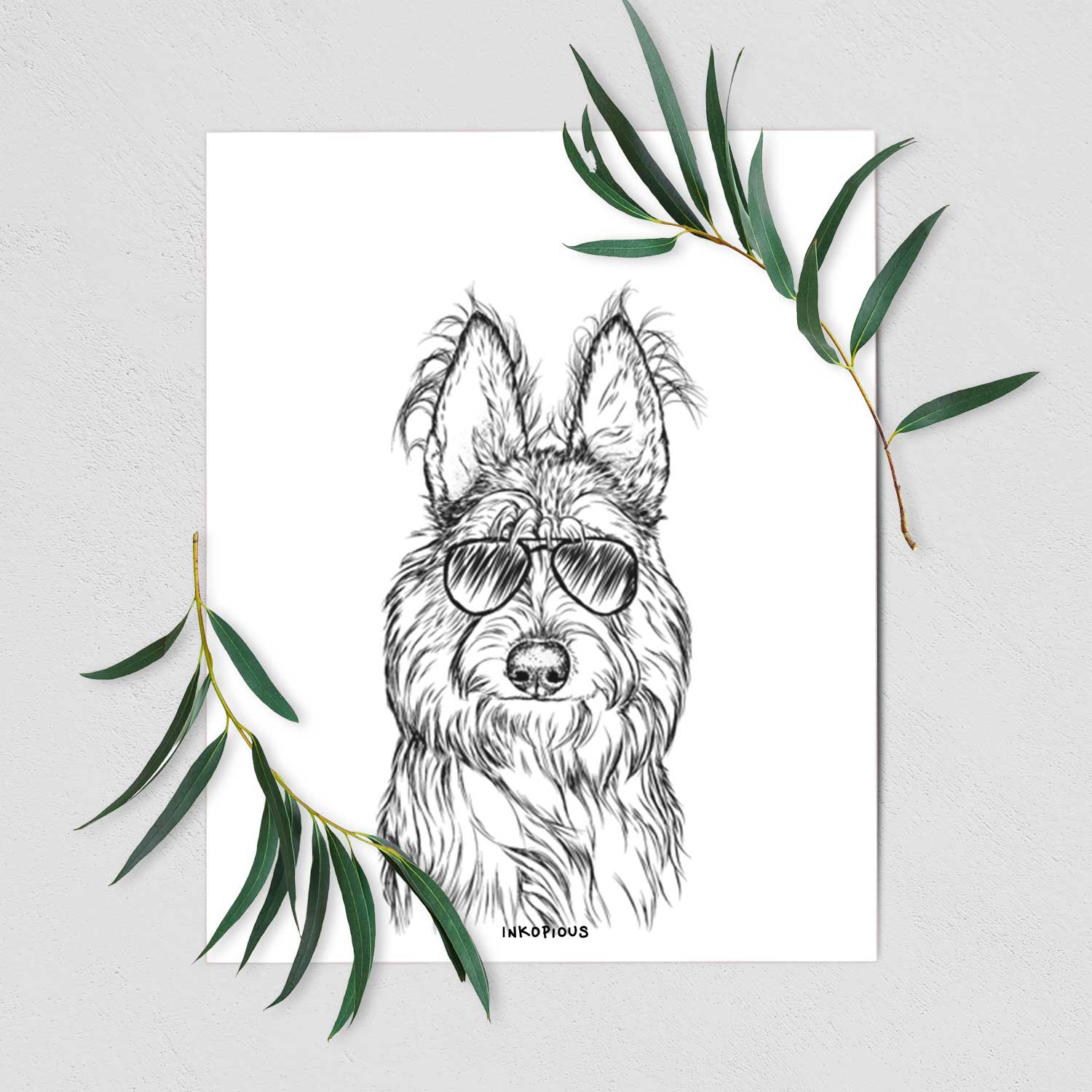 Luna the Berger Picard Art Print