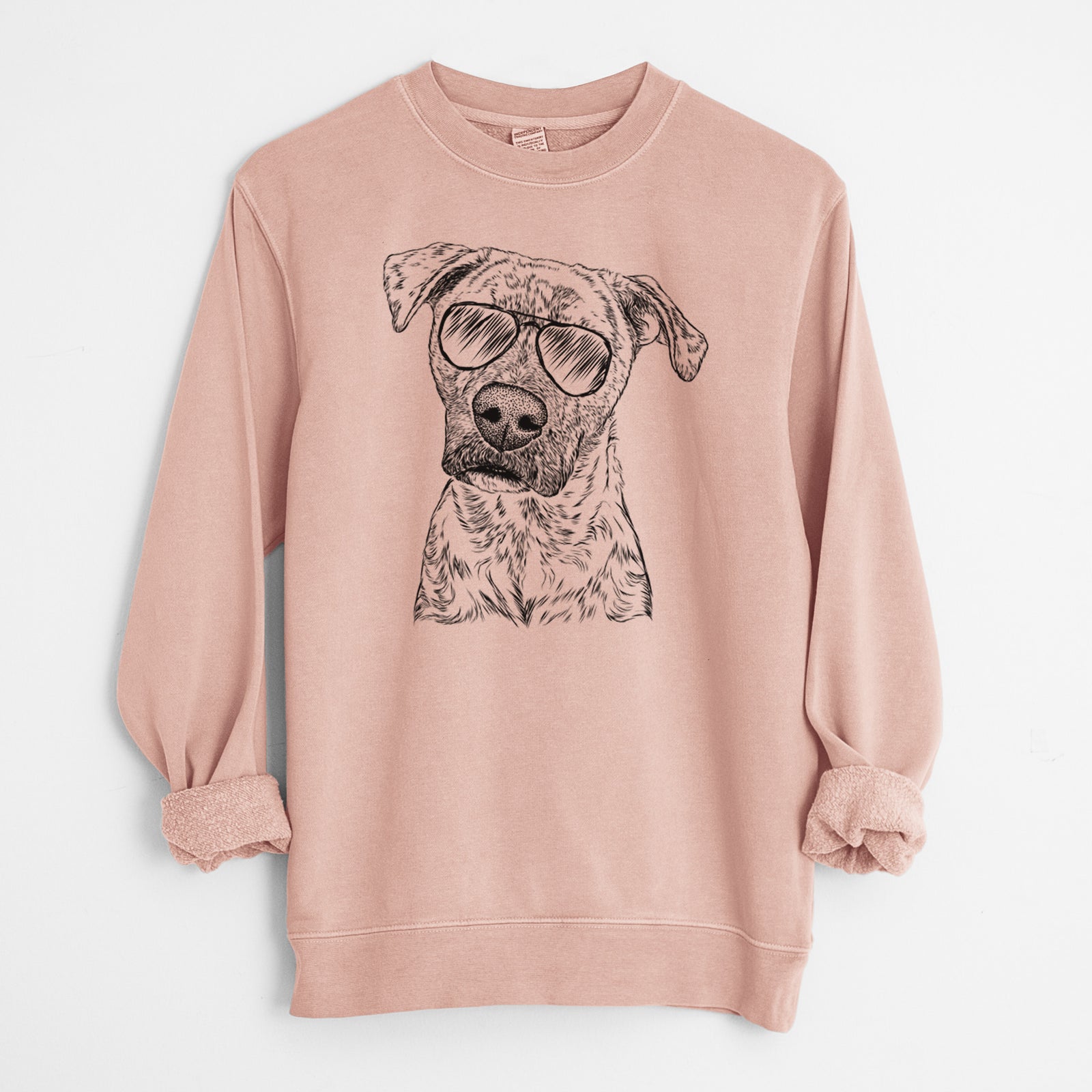 Aviator Monster Baby the Pitbull Mix - Unisex Pigment Dyed Crew Sweatshirt