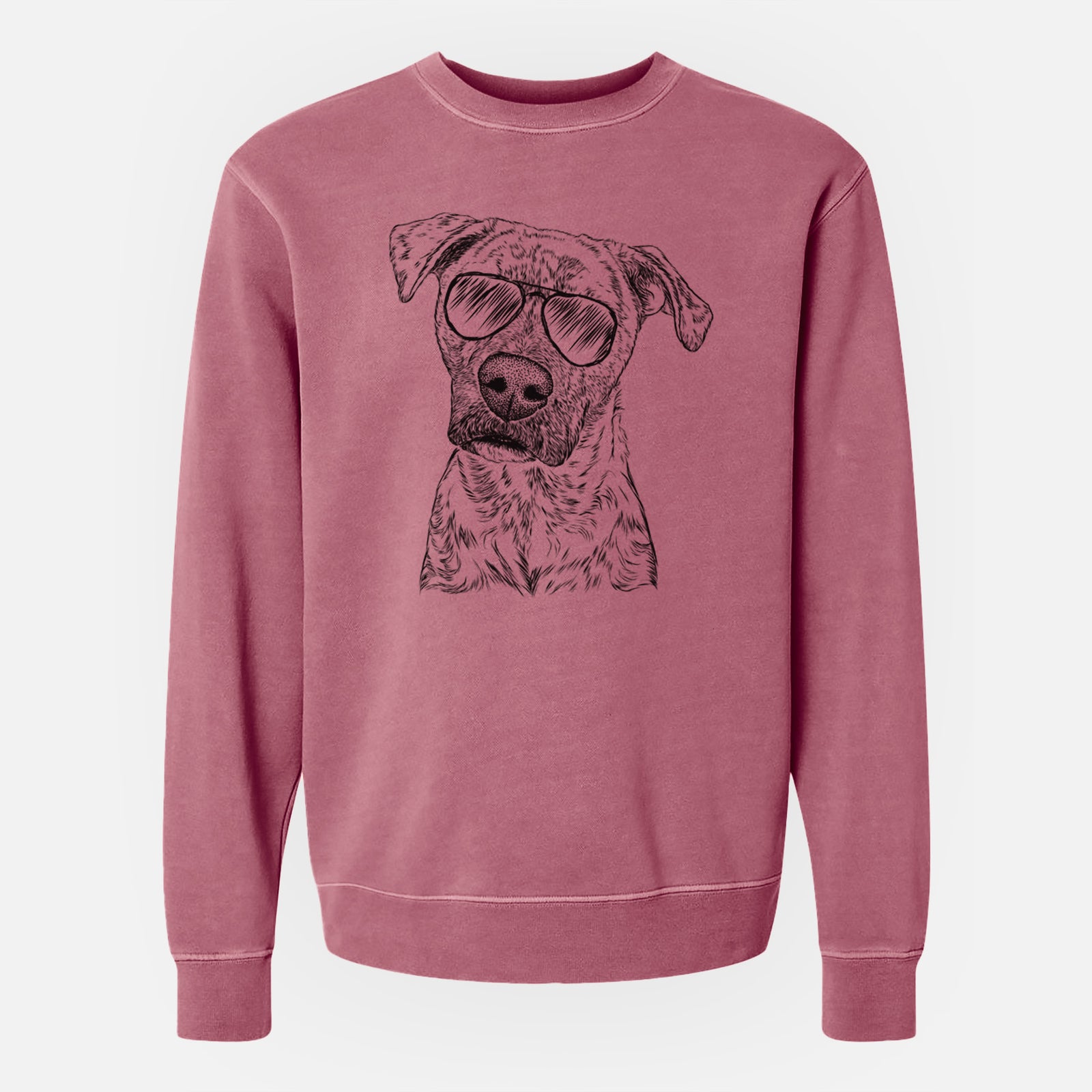 Aviator Monster Baby the Pitbull Mix - Unisex Pigment Dyed Crew Sweatshirt