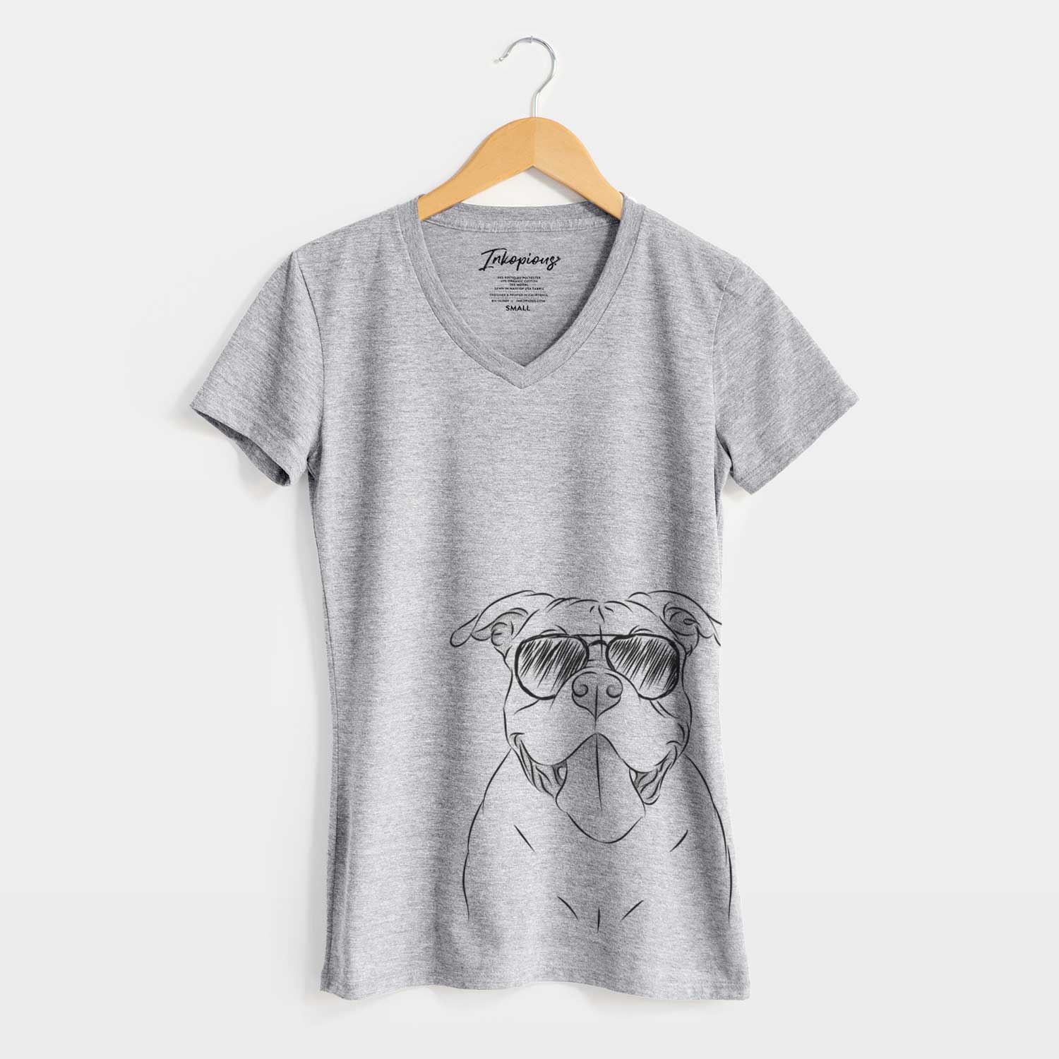 Aviator Nacho the American Bully - Women's V-neck Shirt