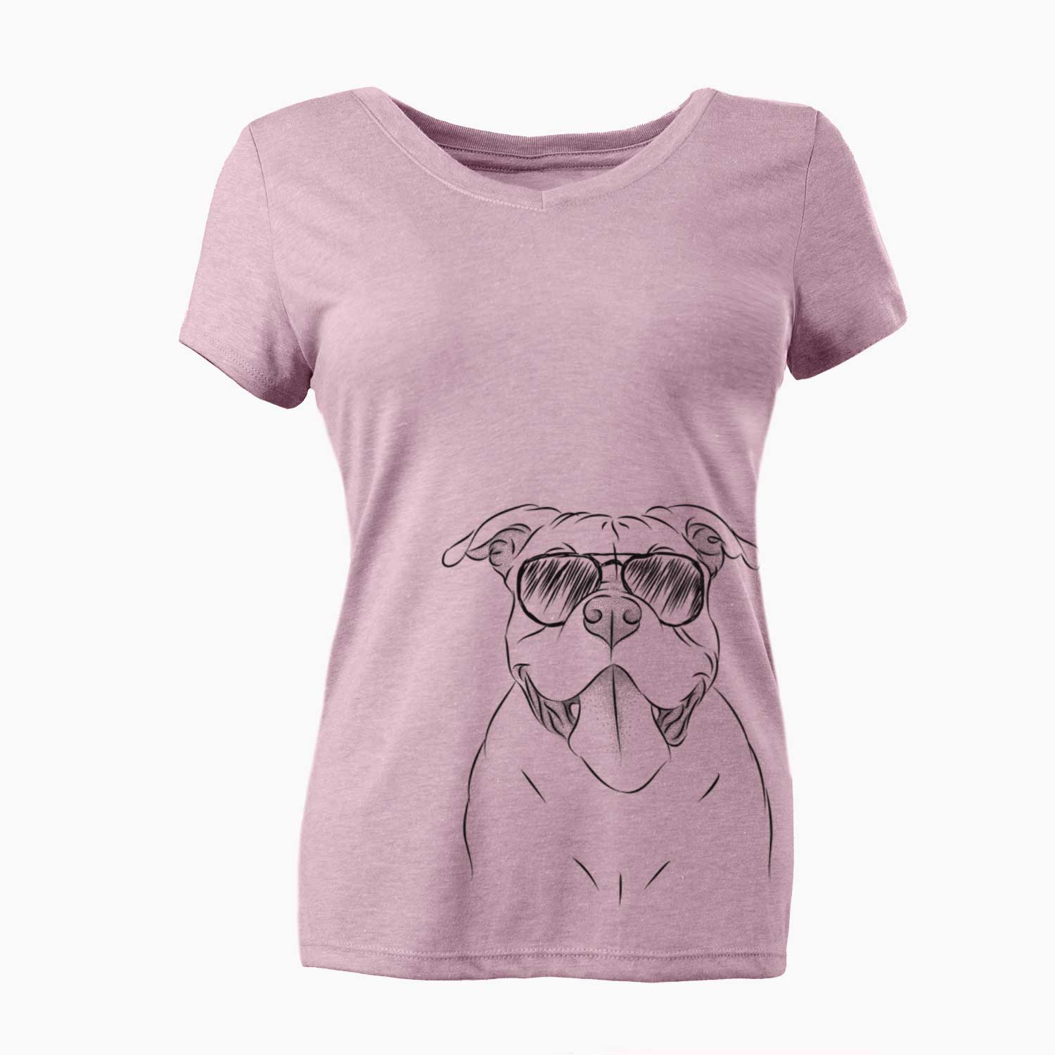 Aviator Nacho the American Bully - Women's V-neck Shirt