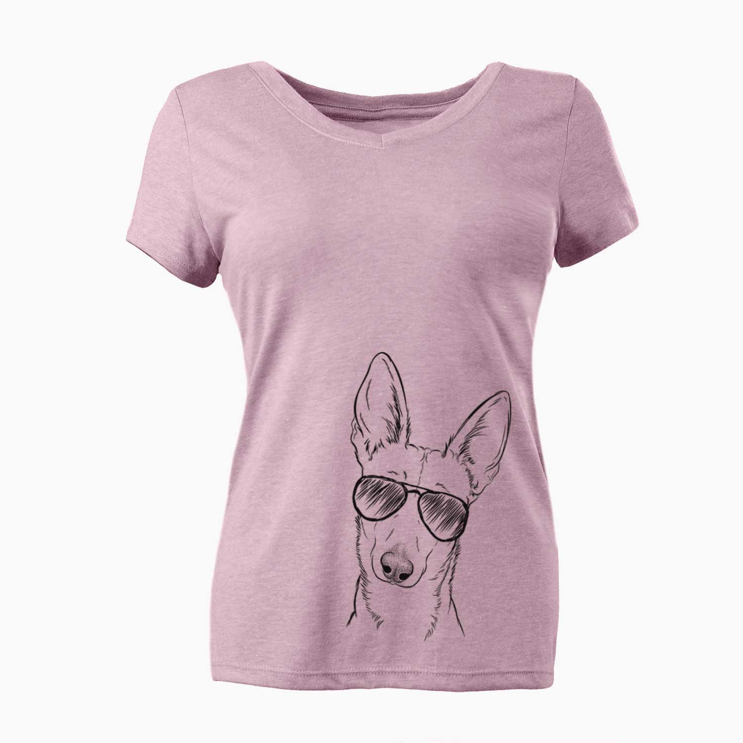 Aviator Nala the Carolina Dog - Women's V-neck Shirt