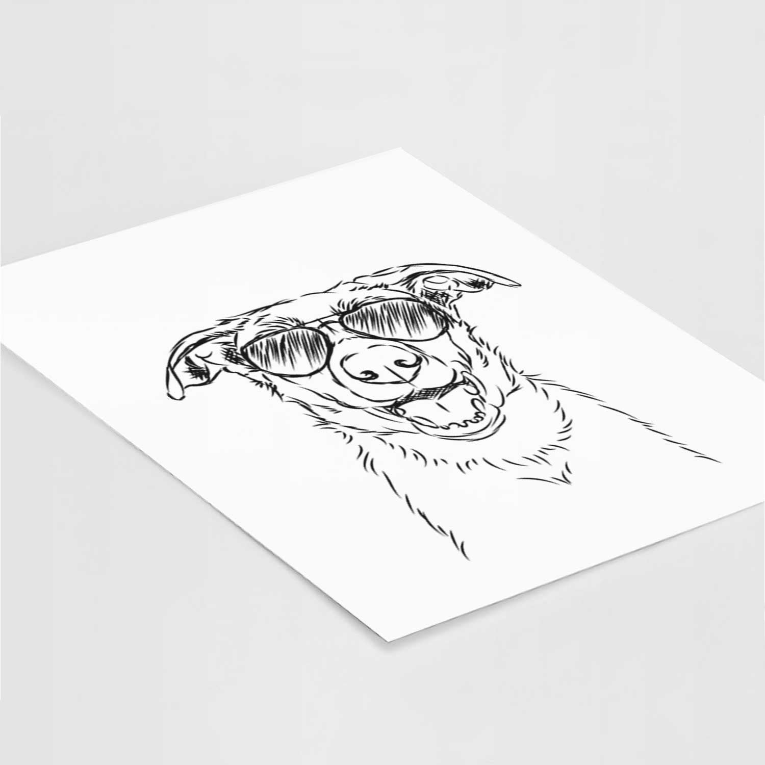 Noah the Smooth Coat Border Collie Art Print