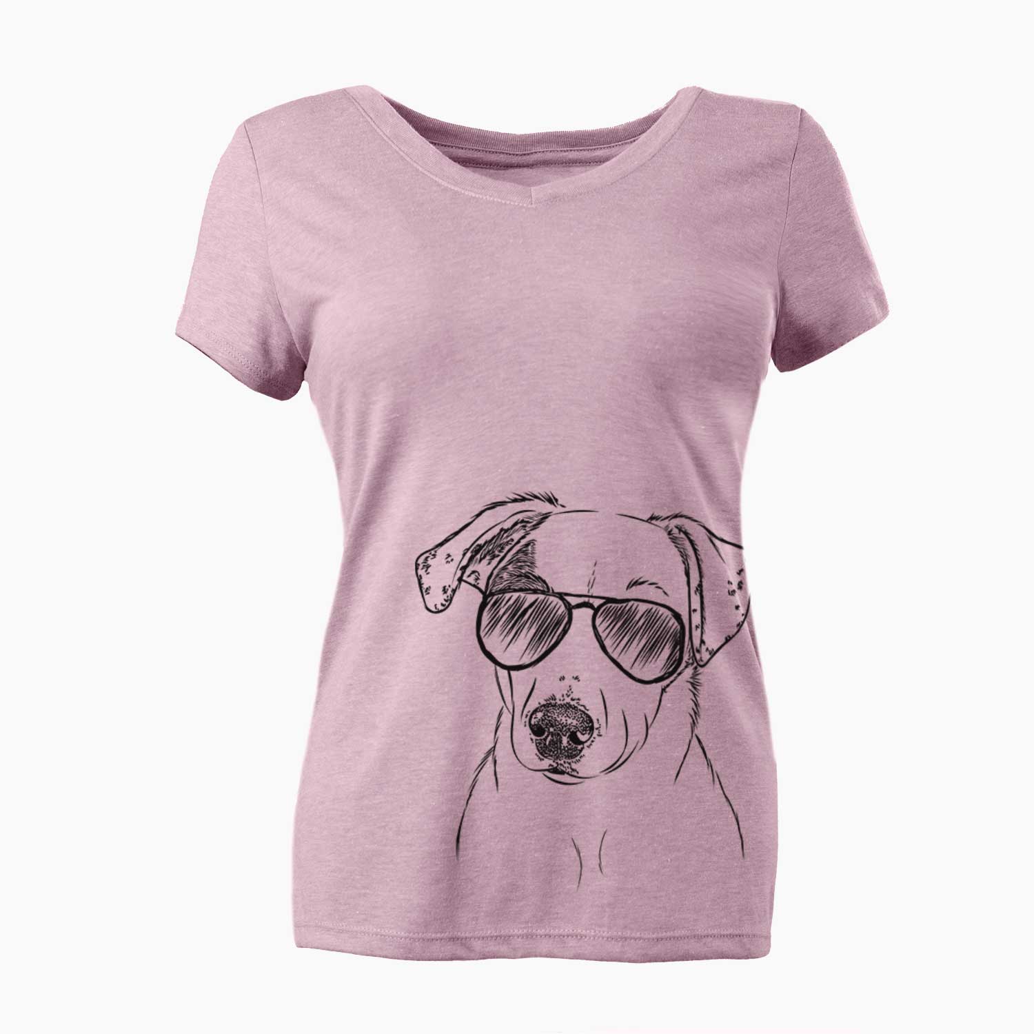 Aviator P-Pie the Mixed Breed - Women's V-neck Shirt