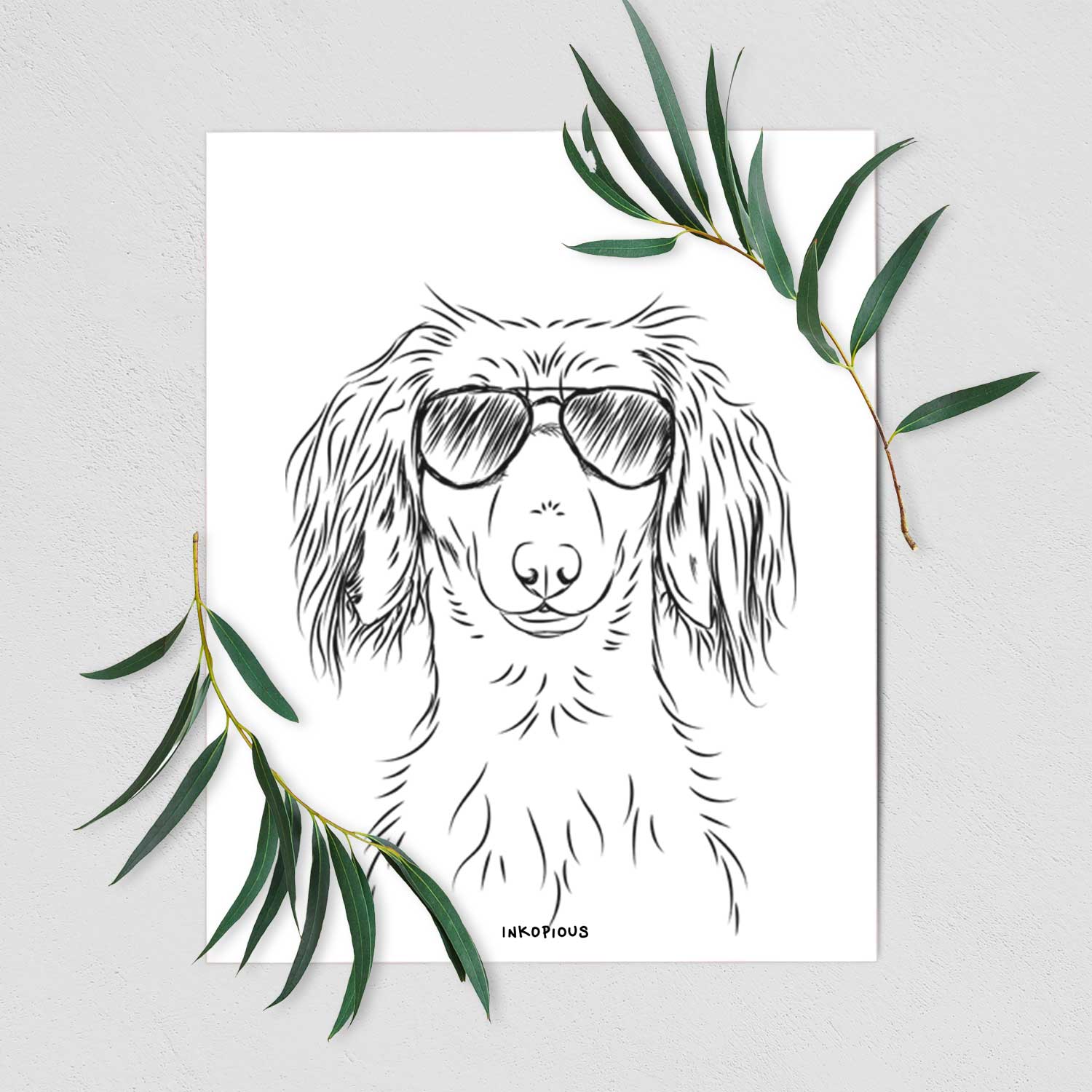 Roux the Long Haired Dachshund Art Print