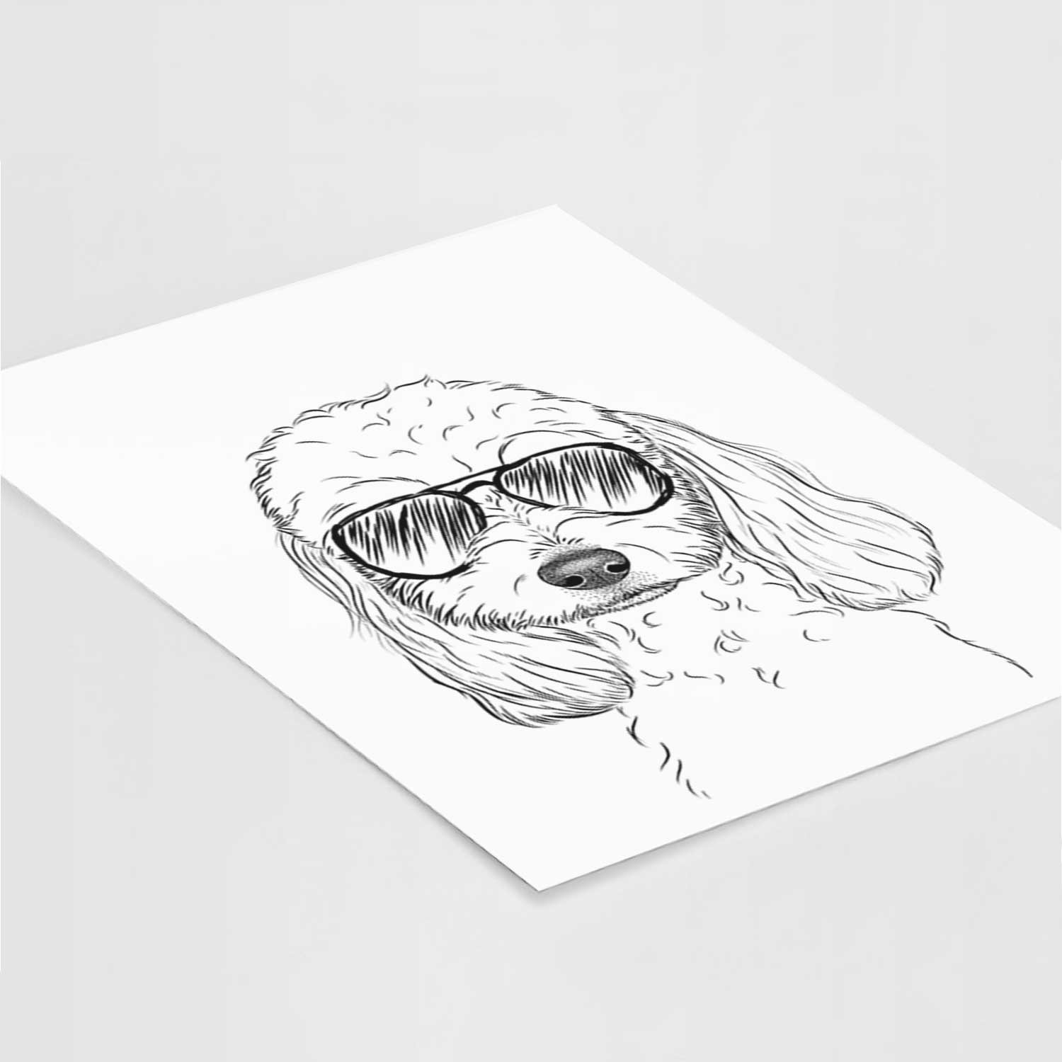 Sophie the Coton de Tulear Art Print