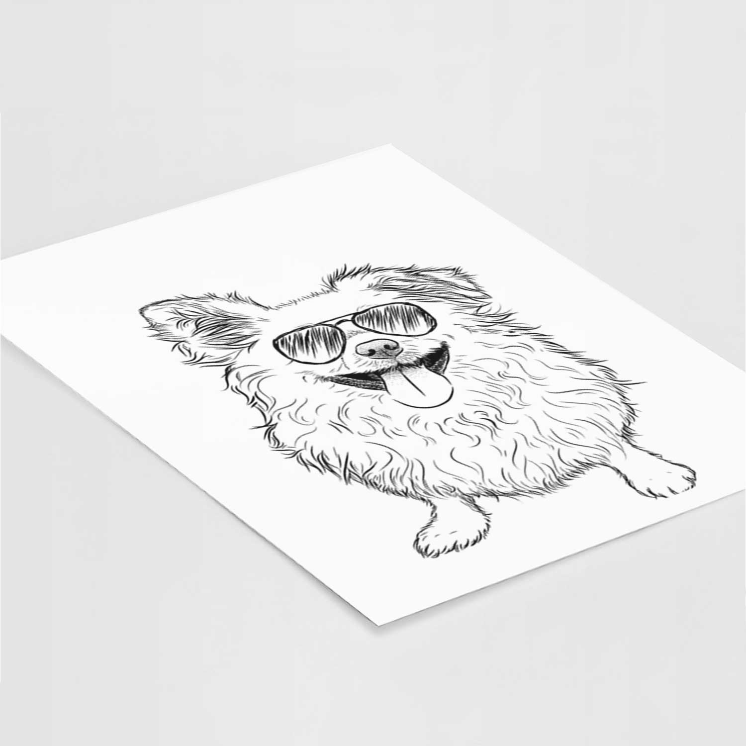 Stuart the Longhaired Chihuahua Art Print