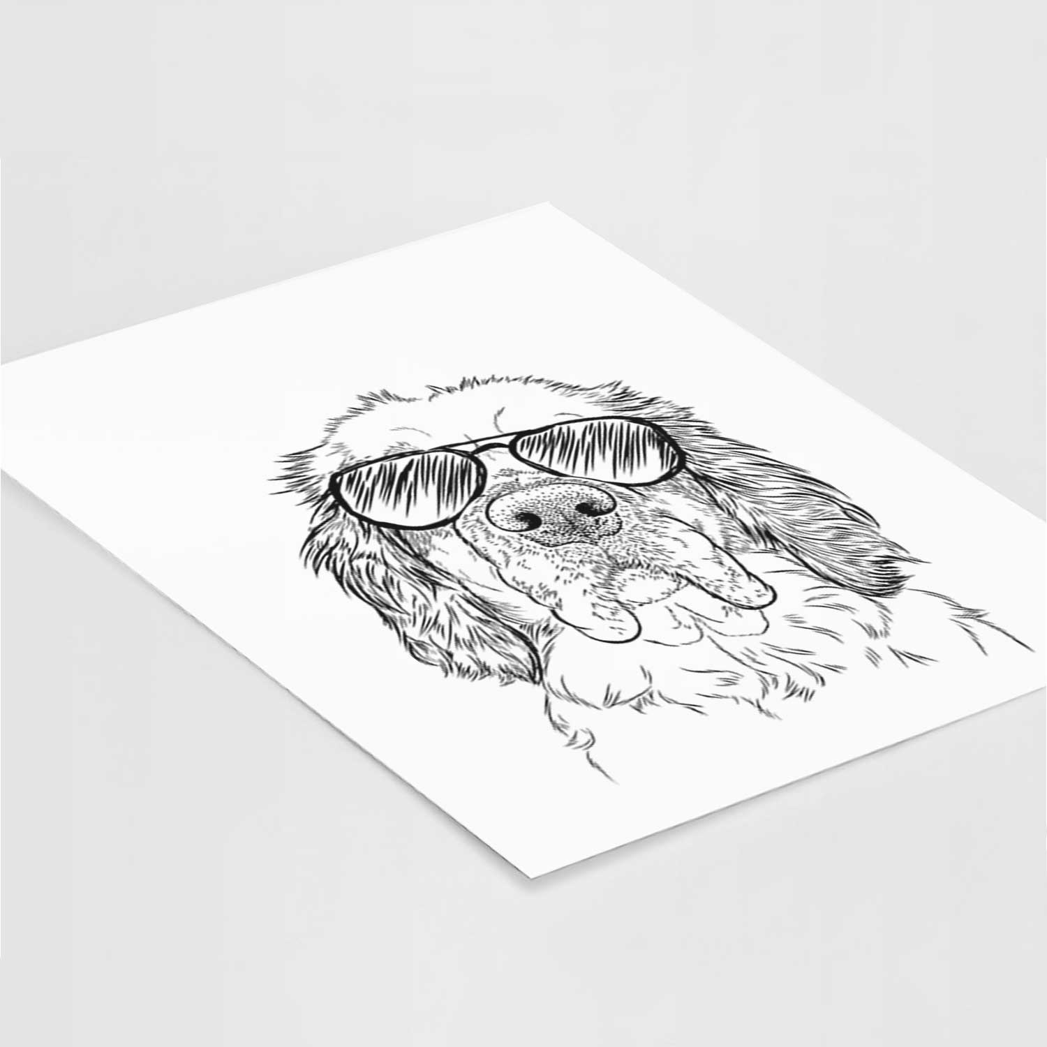 Sully the Clumber Spaniel Art Print