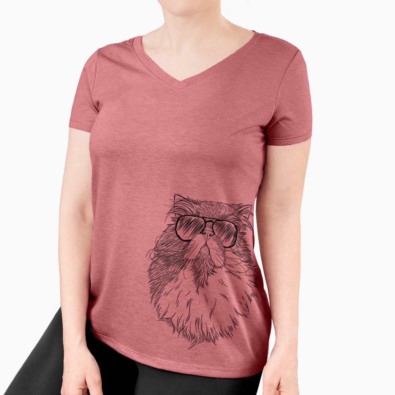 Aviator Tookie the Perisan Cat - Women's V-neck Shirt