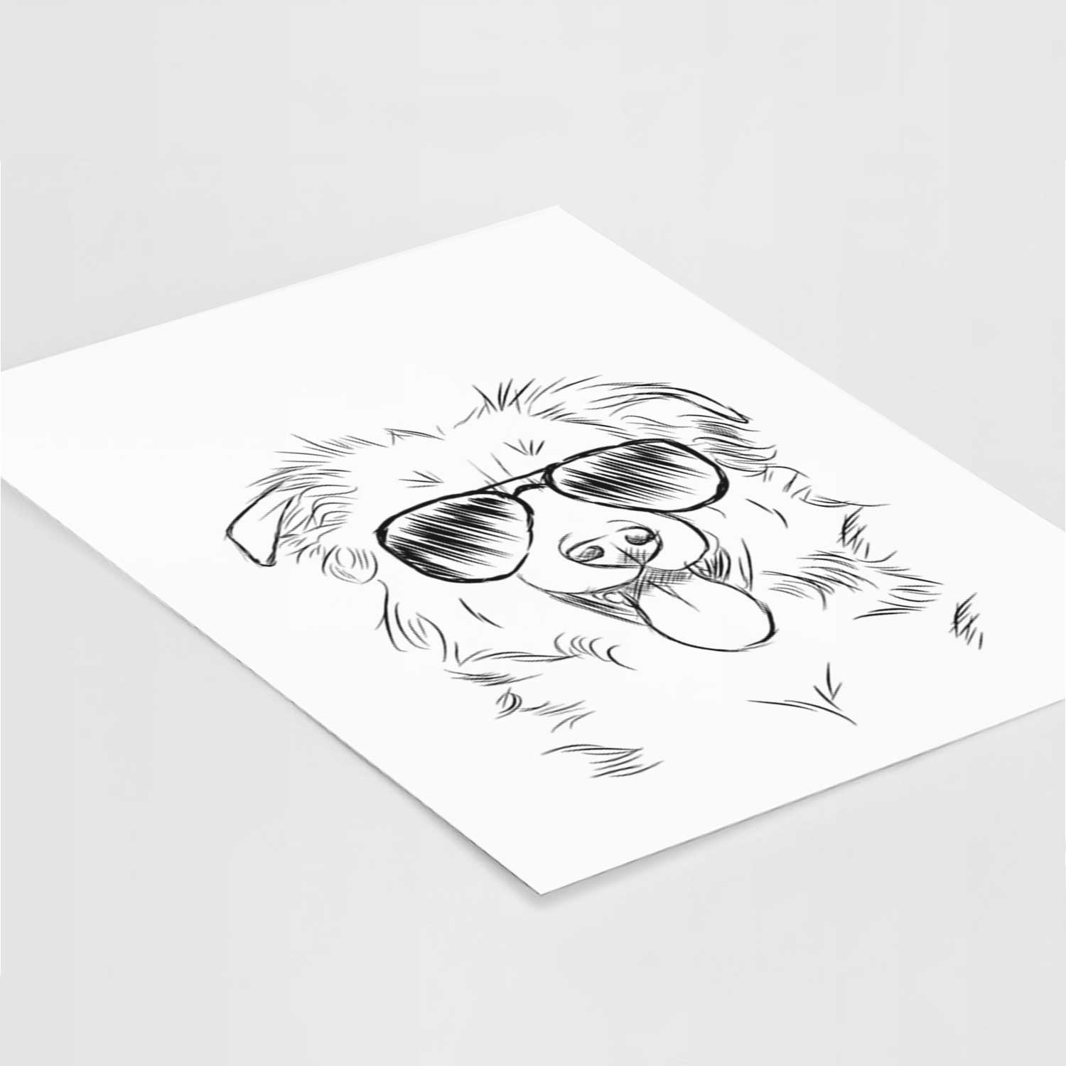 Tucker the Collie Shepherd Art Print