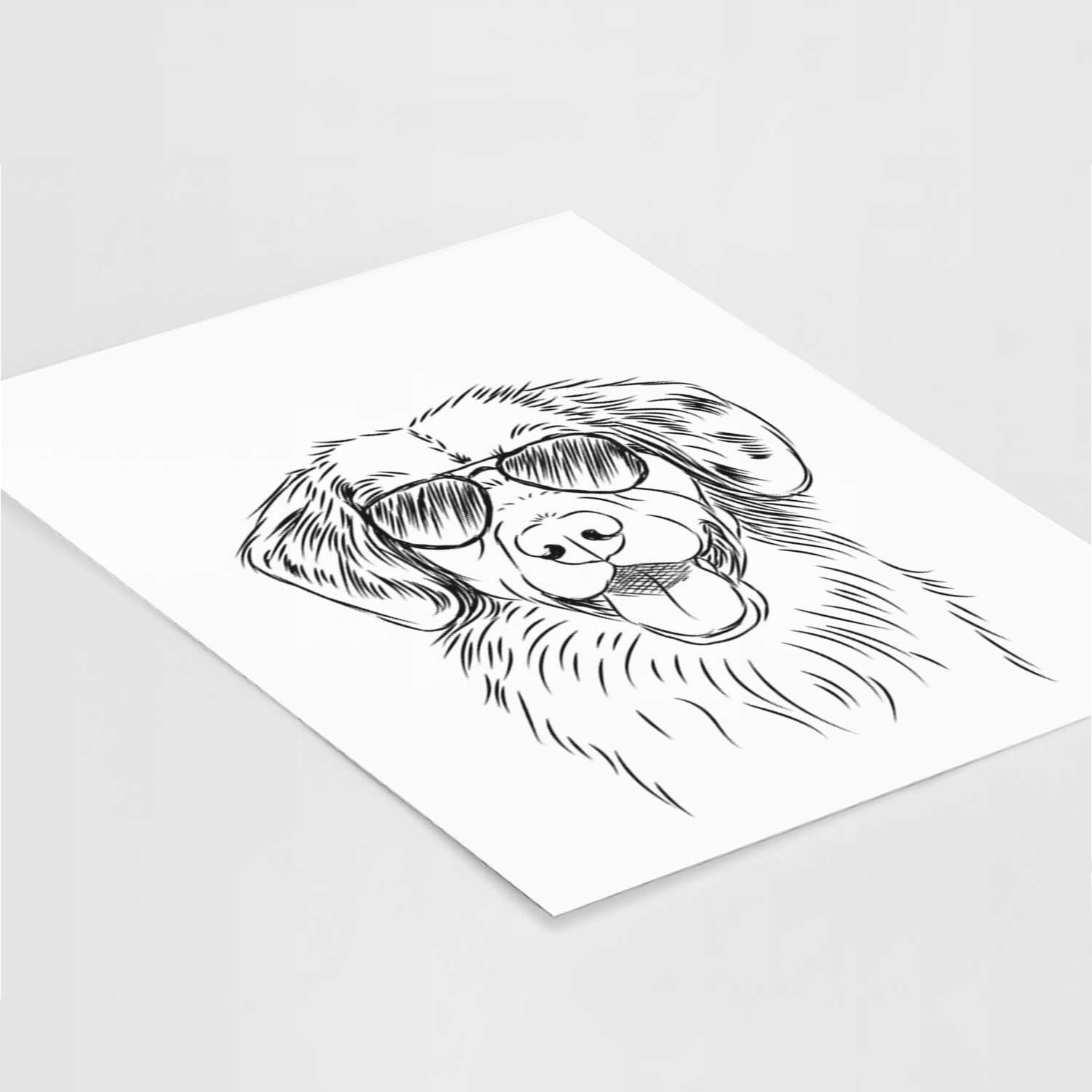 Weston the Nova Scotia Duck Tolling Retriever Art Print